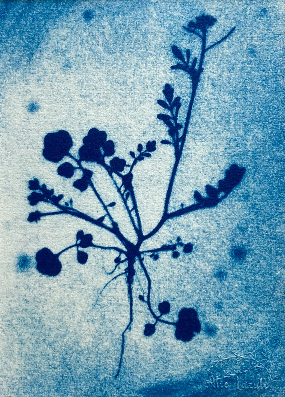 Entre Terre et Ciel - 13x18 - Au Temps Suspendu