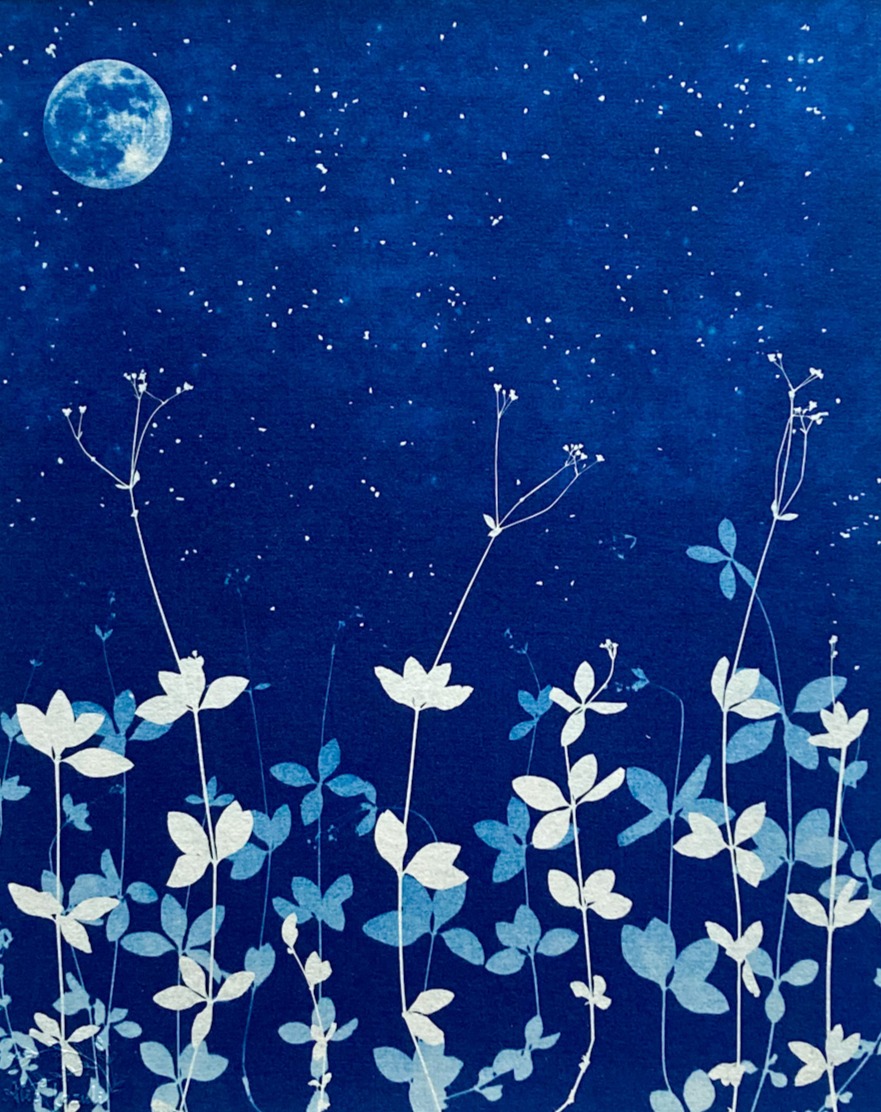Par une Nuit d'Eté - 24x30 - Au Temps Suspendu