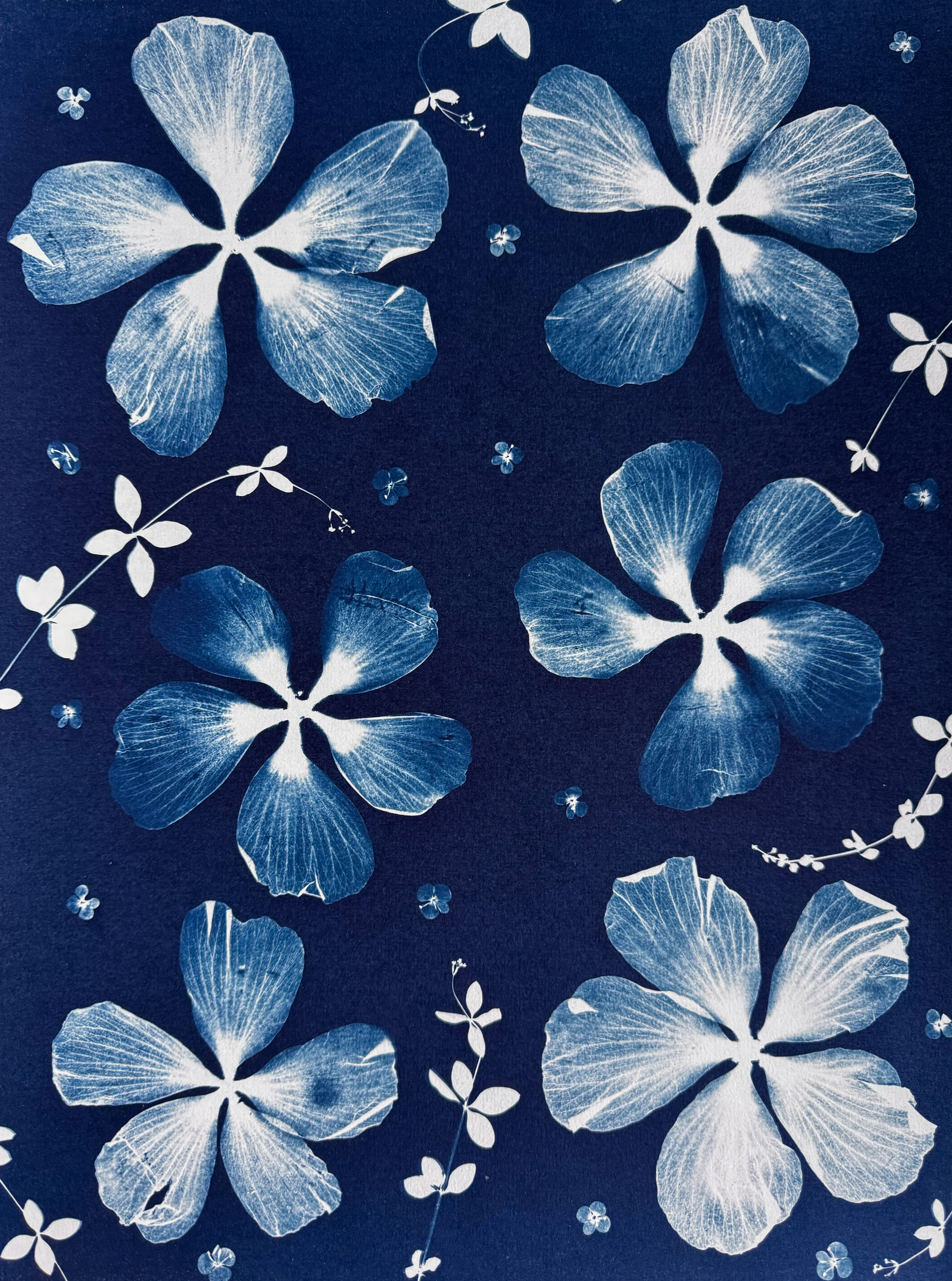 Quand il Pleut des Fleurs - 30x40