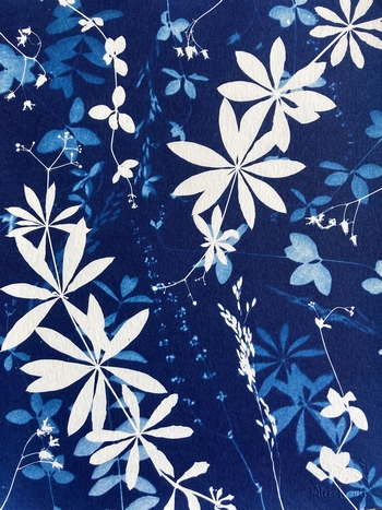 Harmonie Botanique - 18x24