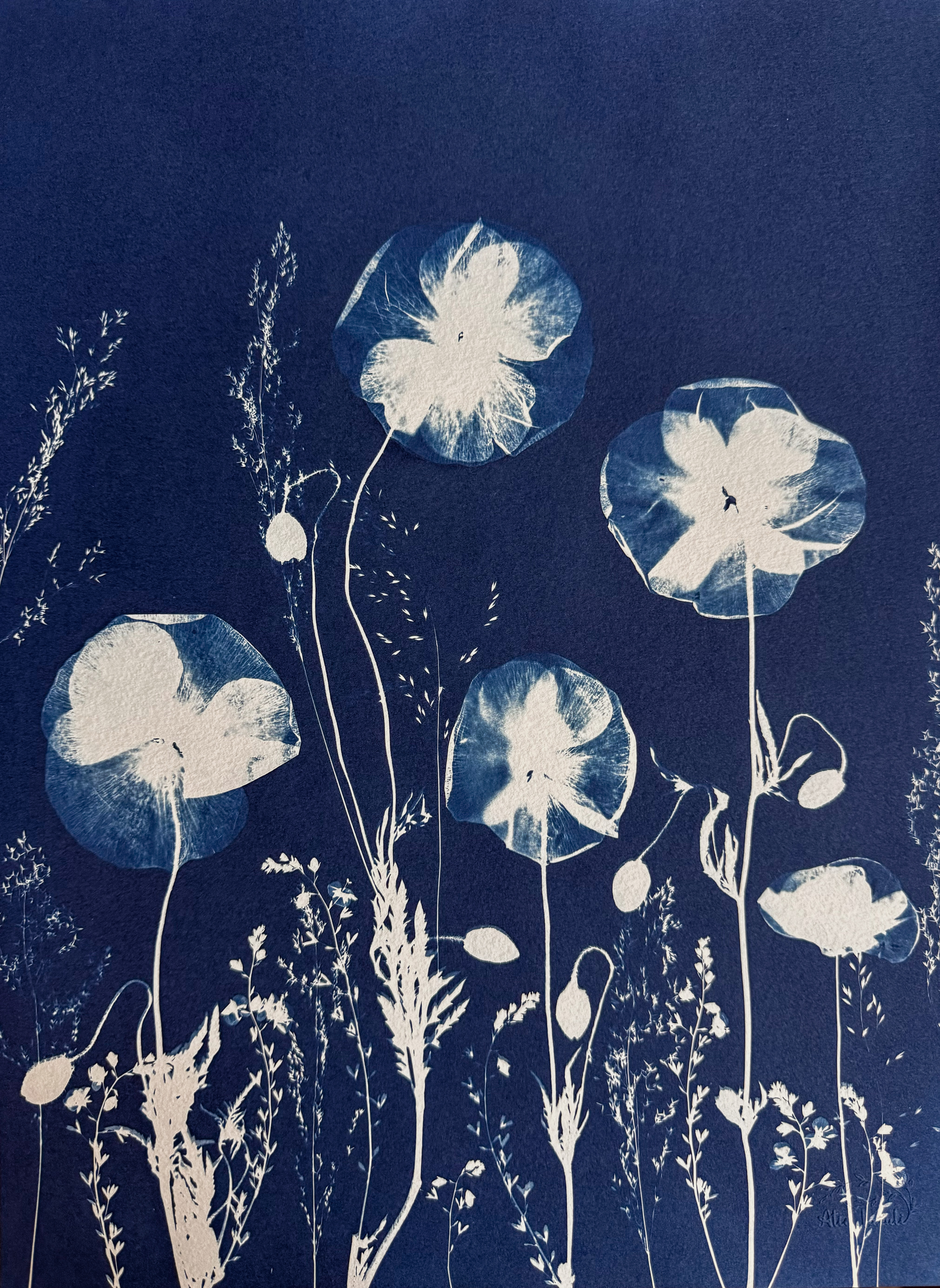 Le Berceau des Fées - 30x40