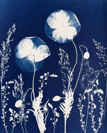 Eclosion Nocturne - 24x30