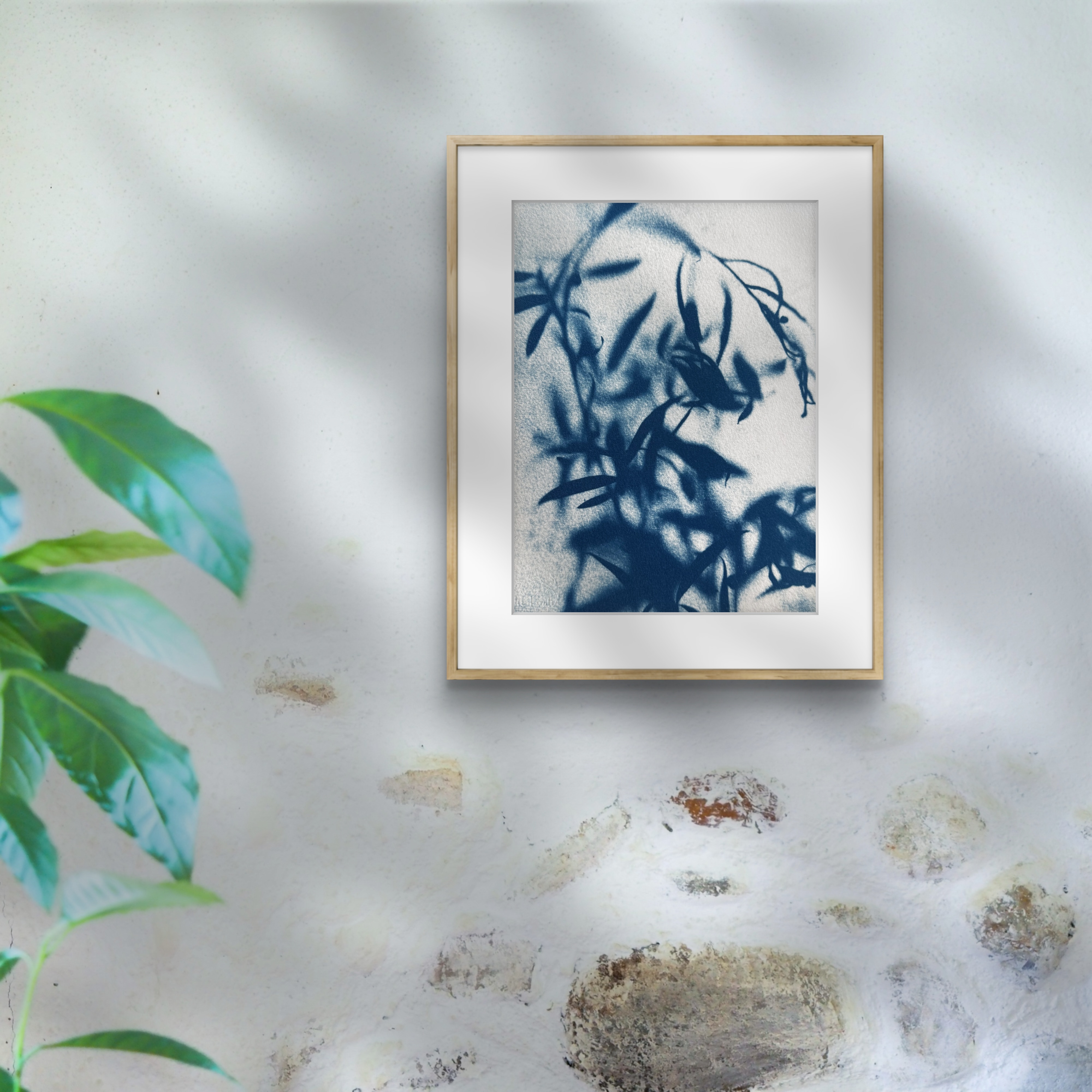 Saule des Cîmes - 18x24