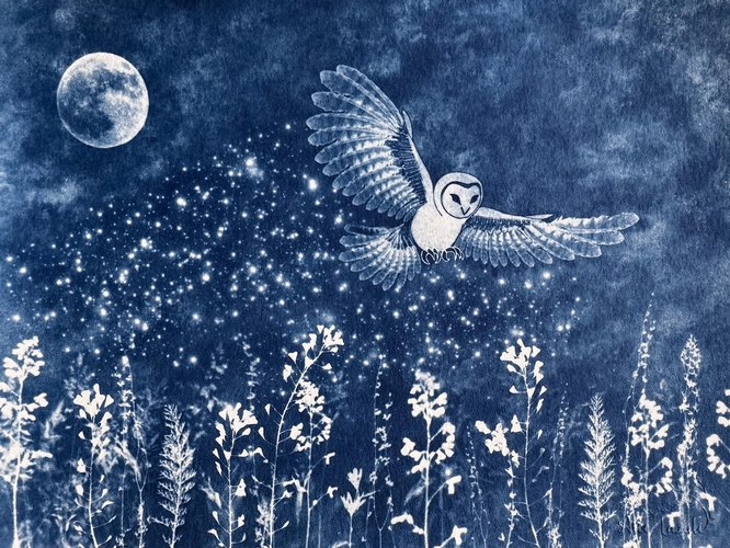 Semis Nocturne - 18x24