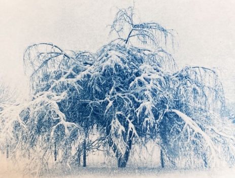 Le Roi de l'Hiver - 18x24