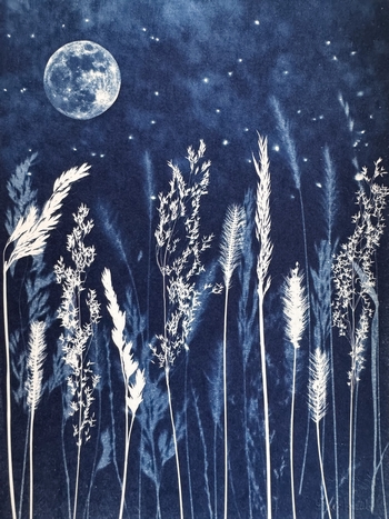 Le Jardin des Songes - 18x24