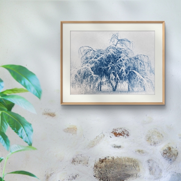 Le Roi de l'Hiver - 18x24