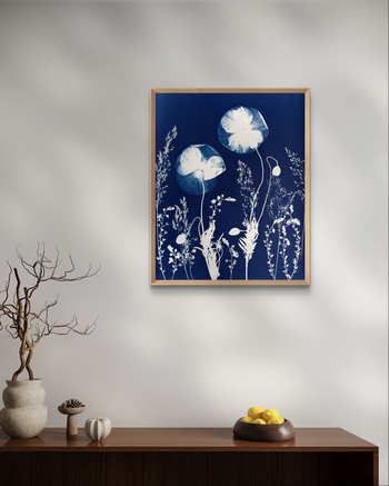 Eclosion Nocturne - 24x30