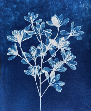 Enchantement Printanier - 24x30