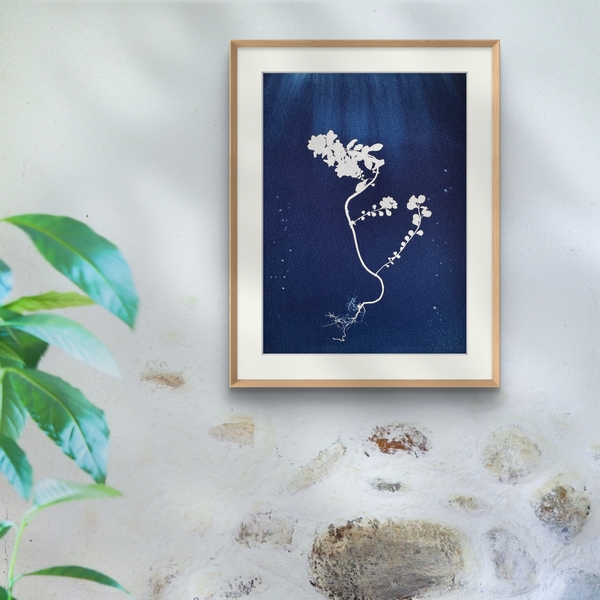 Cheval des Mers - 18x24