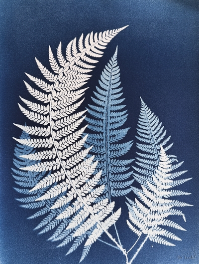 1,2,3 soleil - 30x40