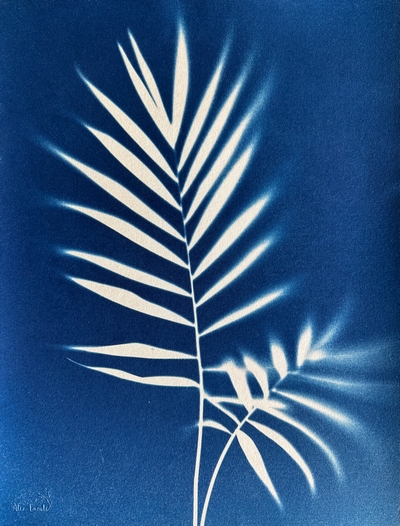 Brise de Printemps - 30x40