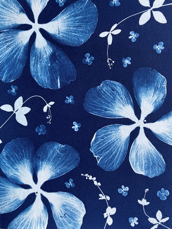 Epanouissement - 18x24