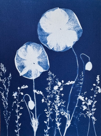 Nocturne Florale - 18x24