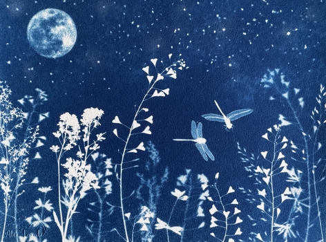 Libellules au Clair de Lune - 18x24