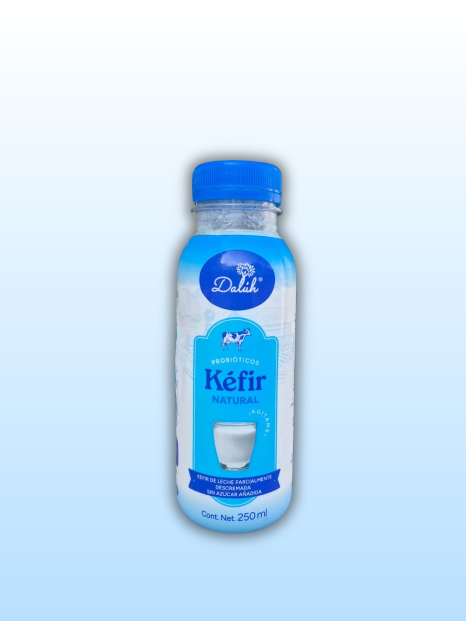 Kéfir Dalúh Natural 250 ml (Paquete con 6 piezas)