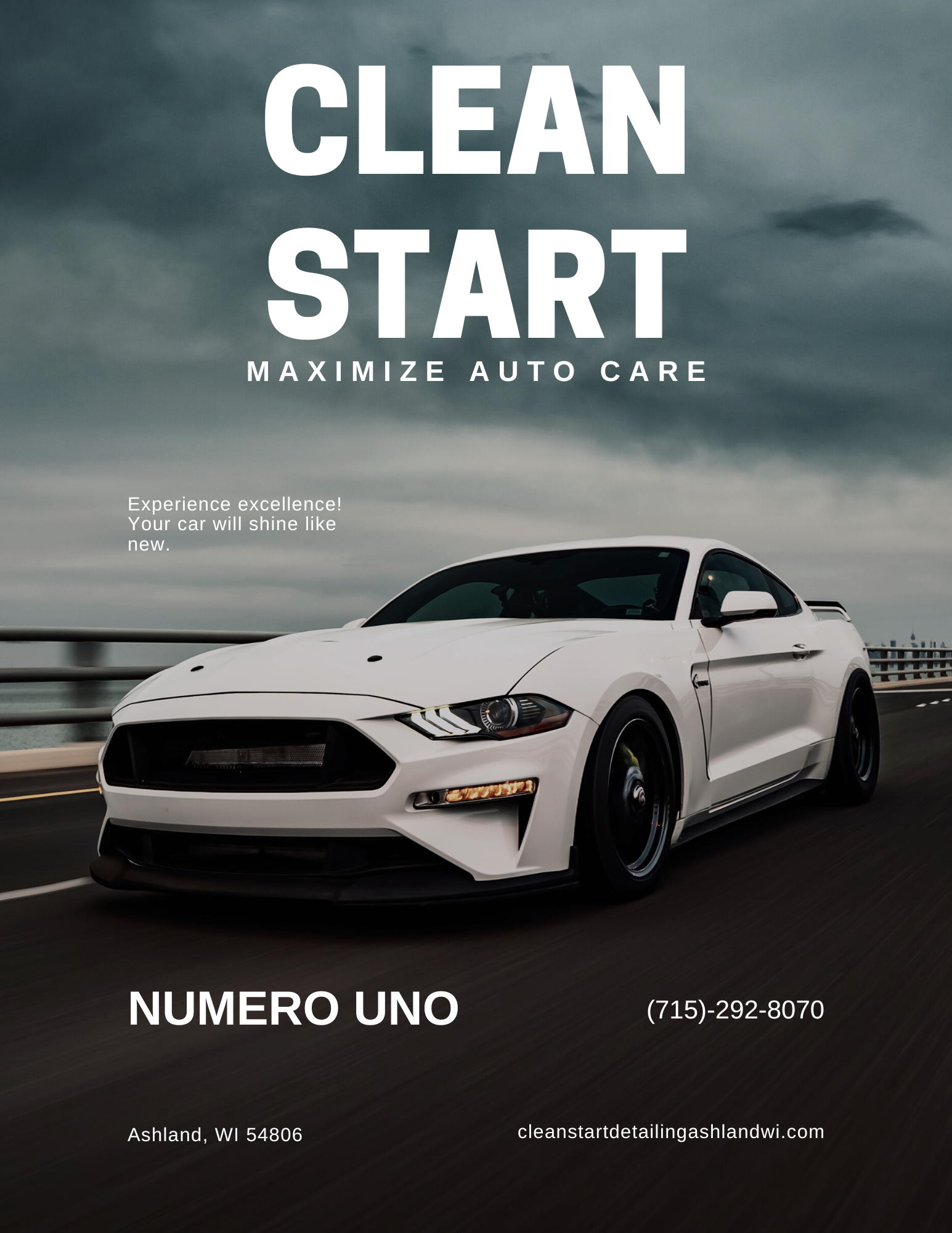 Transform Your Engine Bay with Professional Cleaning