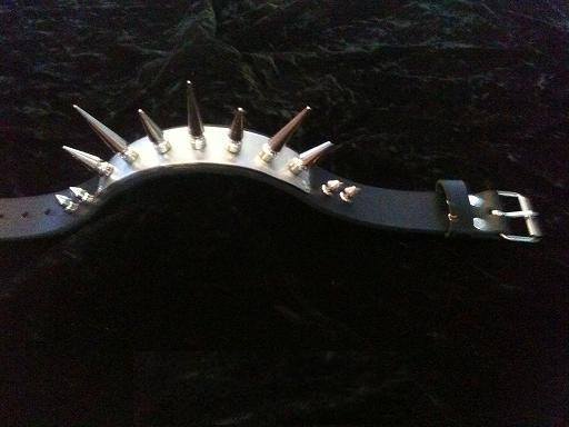 Still to come Collars