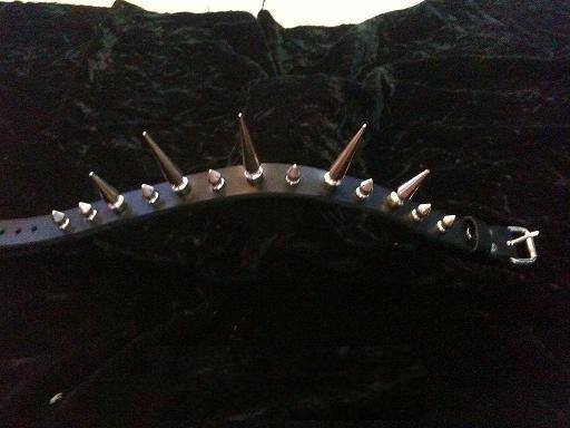 Still to come Collars