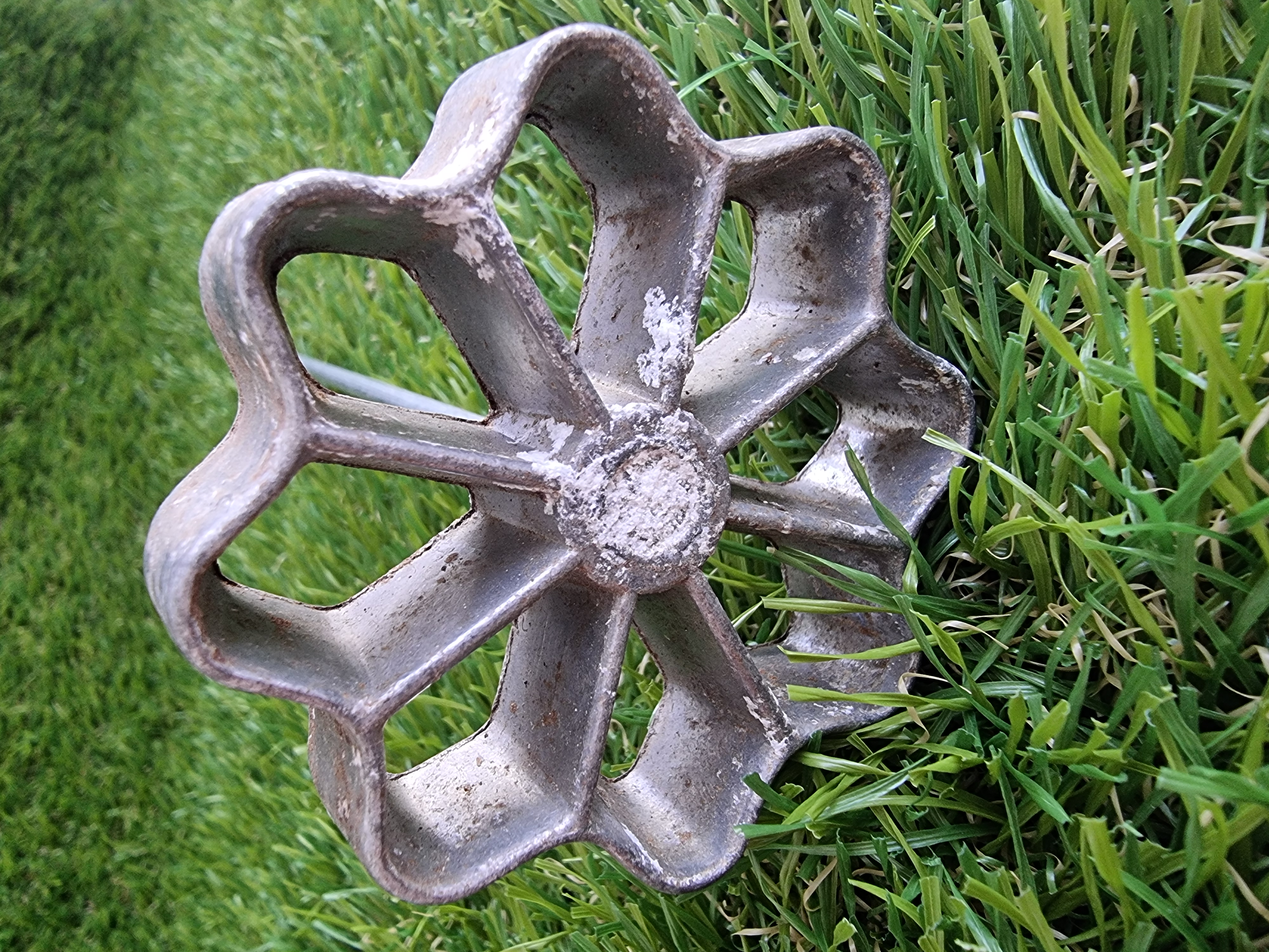 Žagarėlių formelė su koteliu