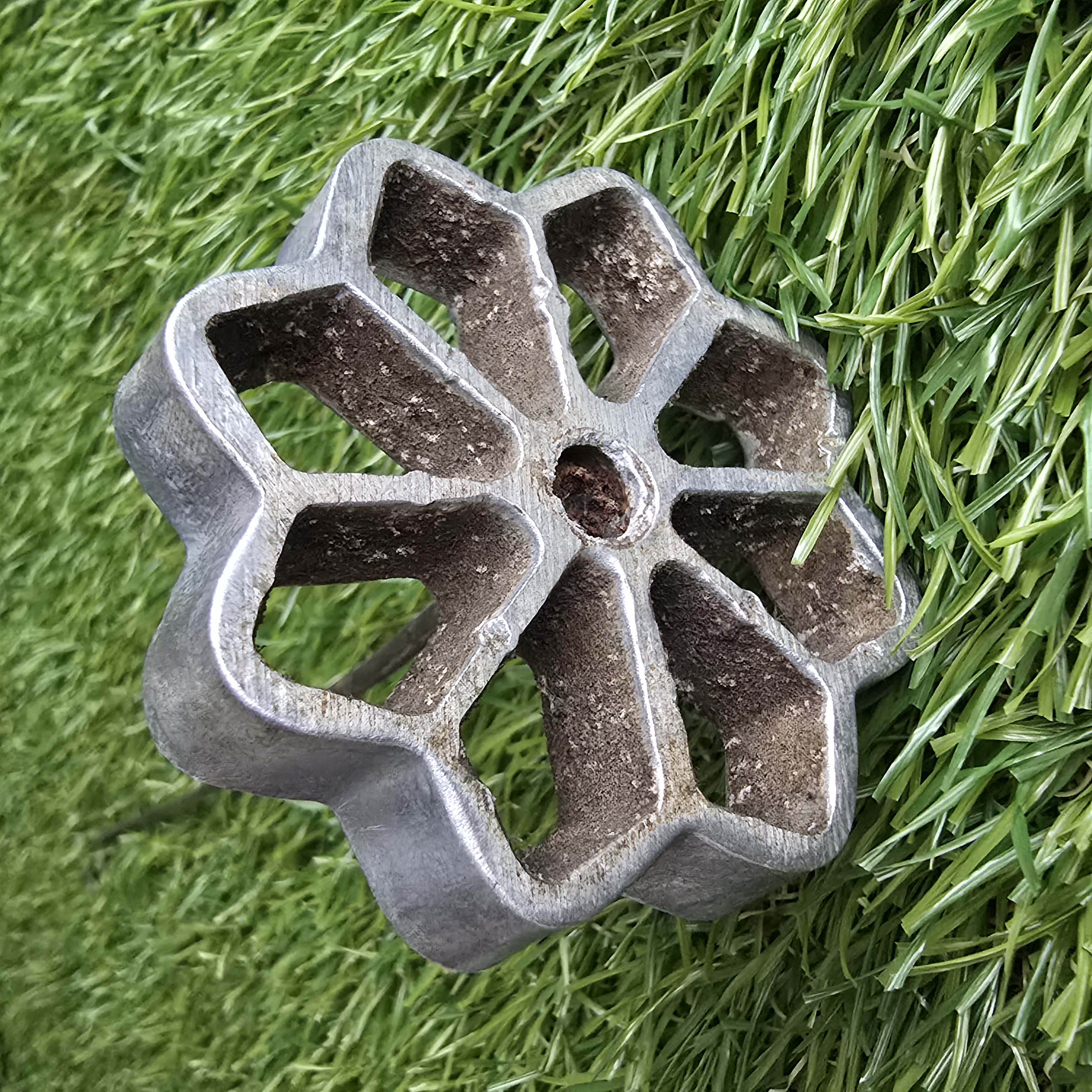 Žagarėlių formelė su koteliu