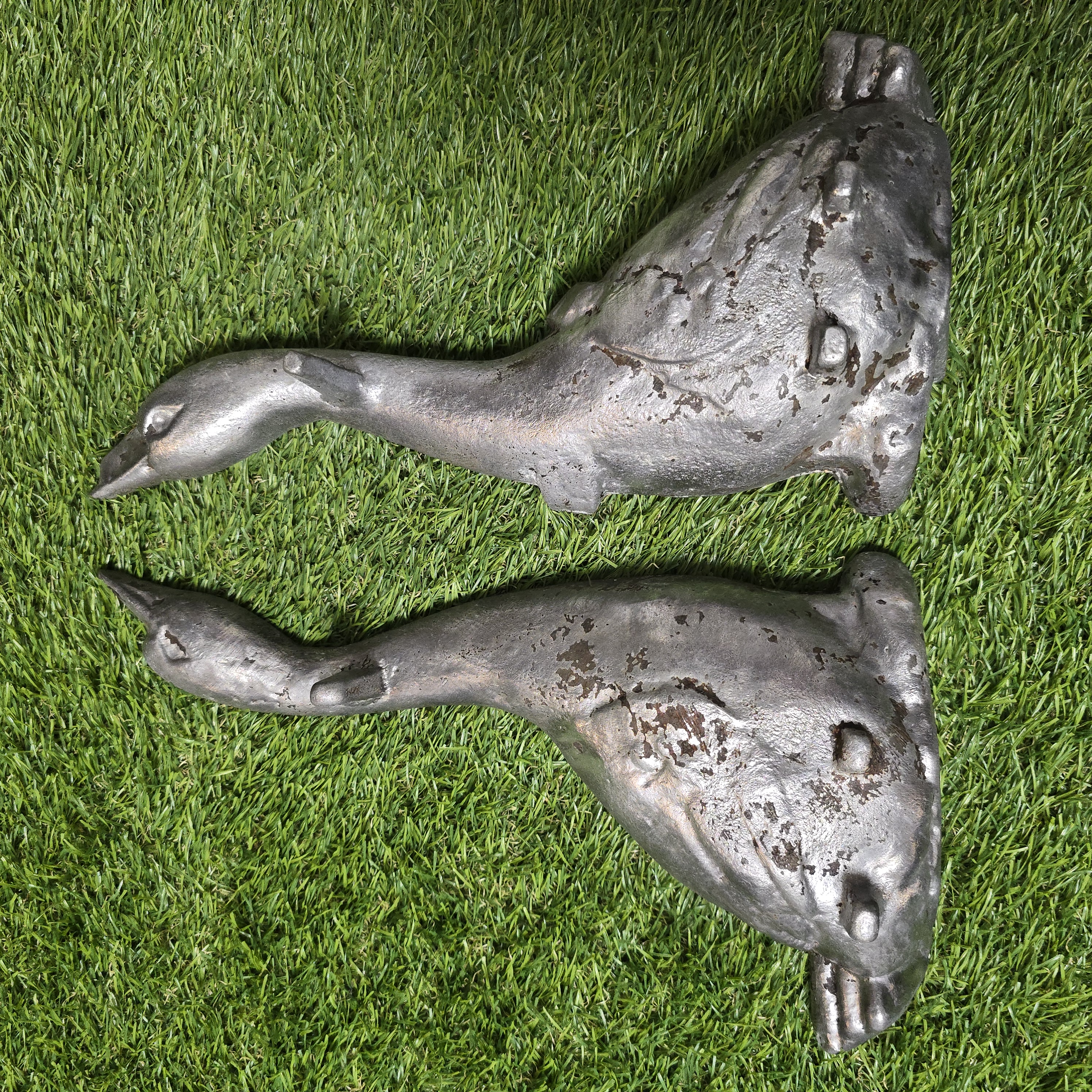 Žąsies kepimo forma