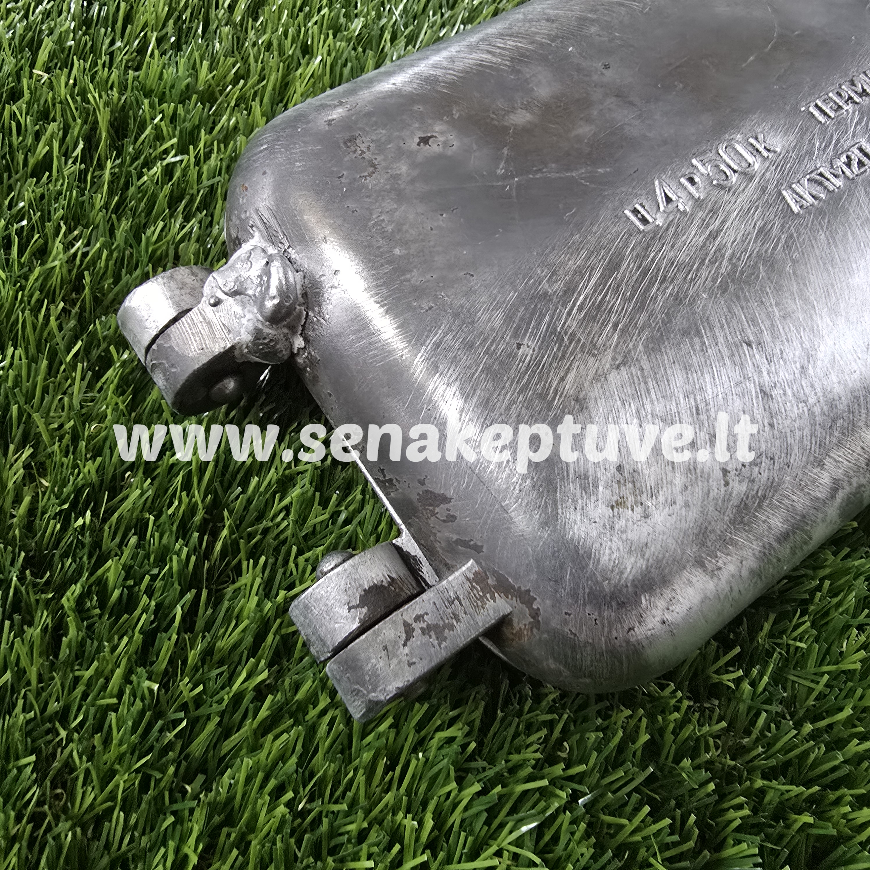 Senovinė asorti (2 paukšteliai, 2 žuvelės, 2 krokodilai ir 2 ruoniai) keptuvė