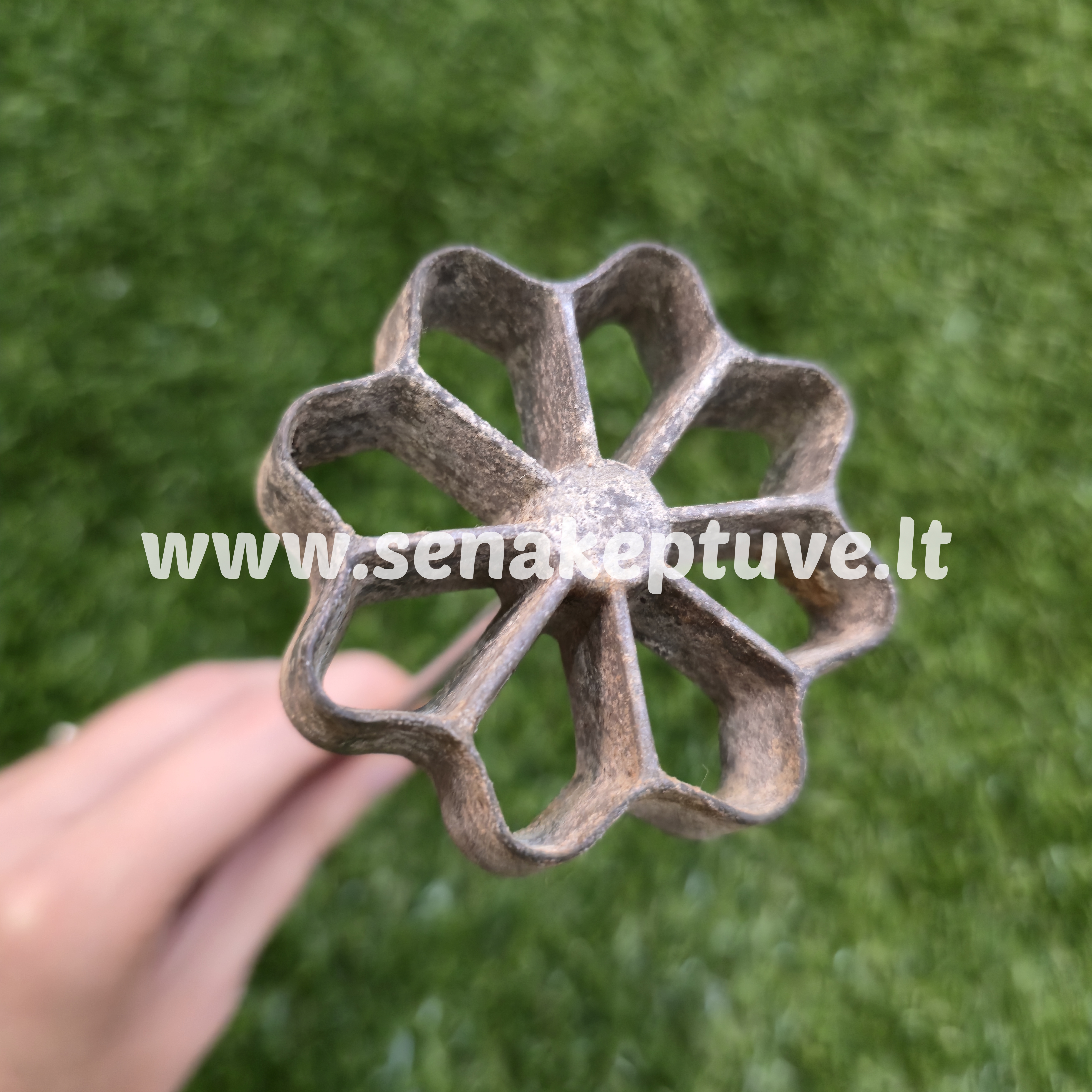 Senovinė žagarėlių formelė su koteliu