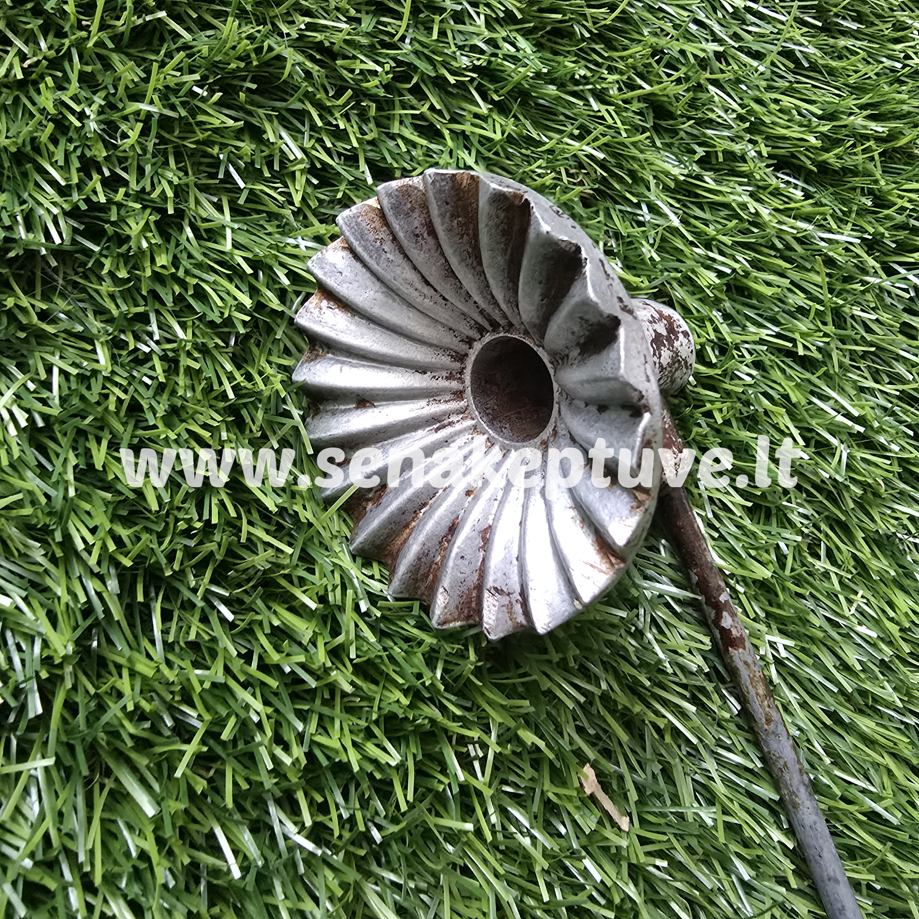 Senovinė žagarėlių formelė su koteliu