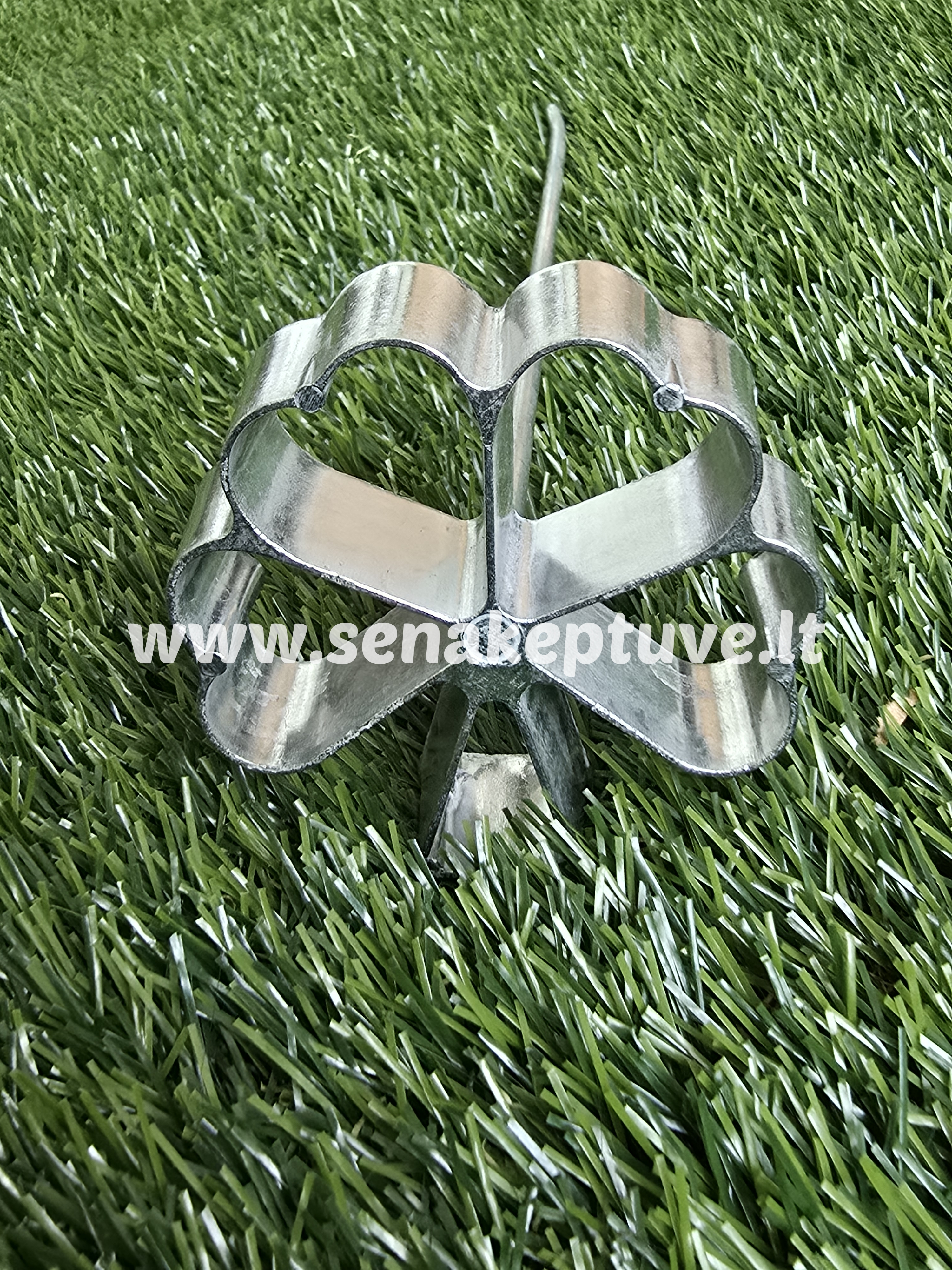 Šiuolaikinė žagarėlių formelė su koteliu