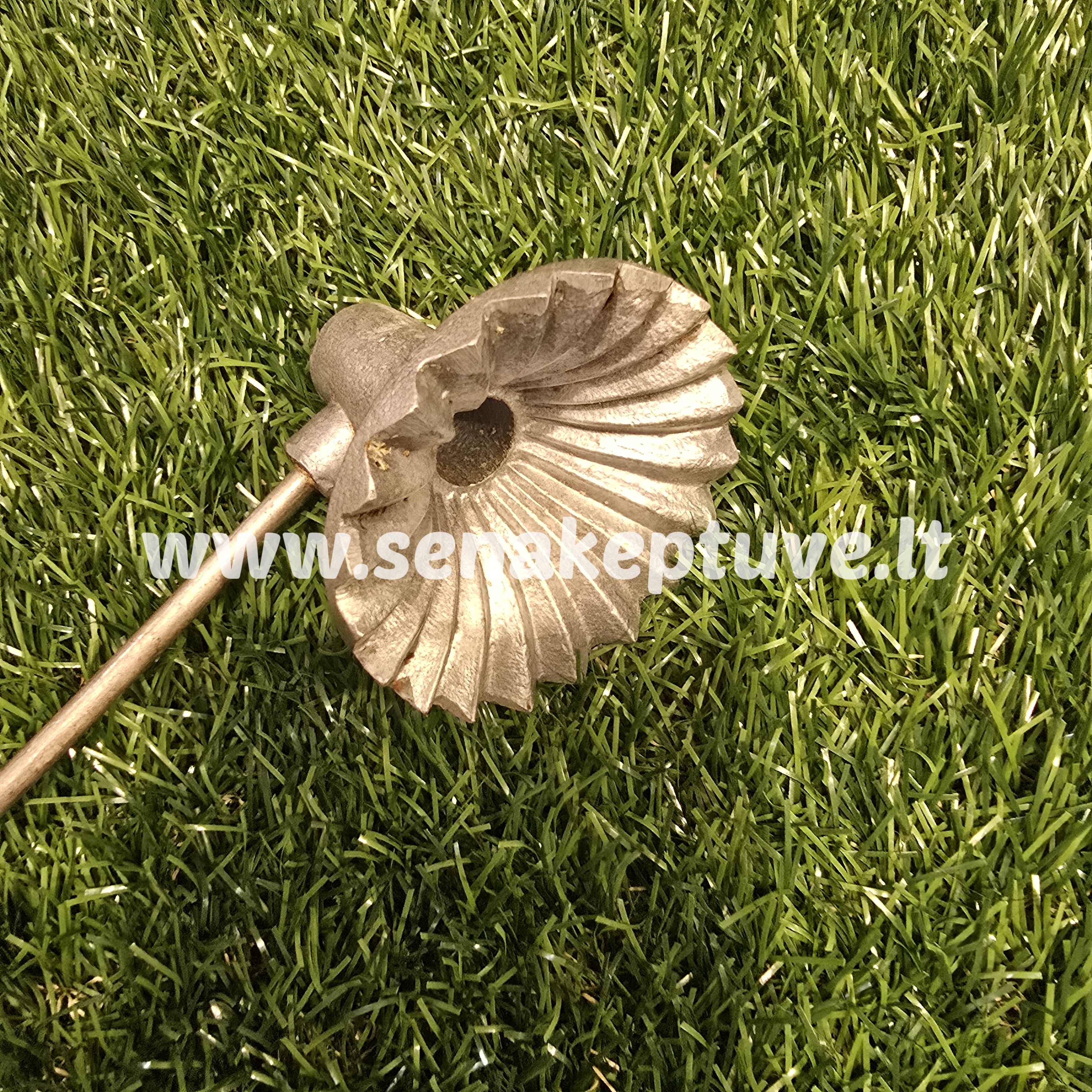 Senovinė žagarėlių formelė su koteliu