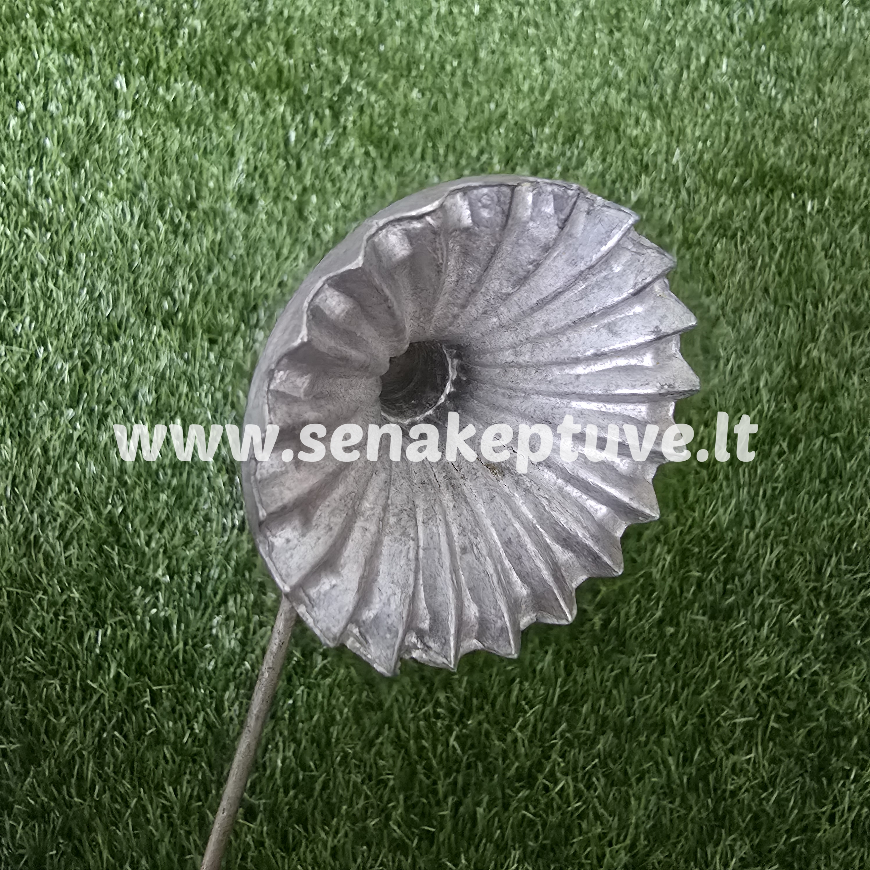 Senovinė žagarėlių formelė su koteliu