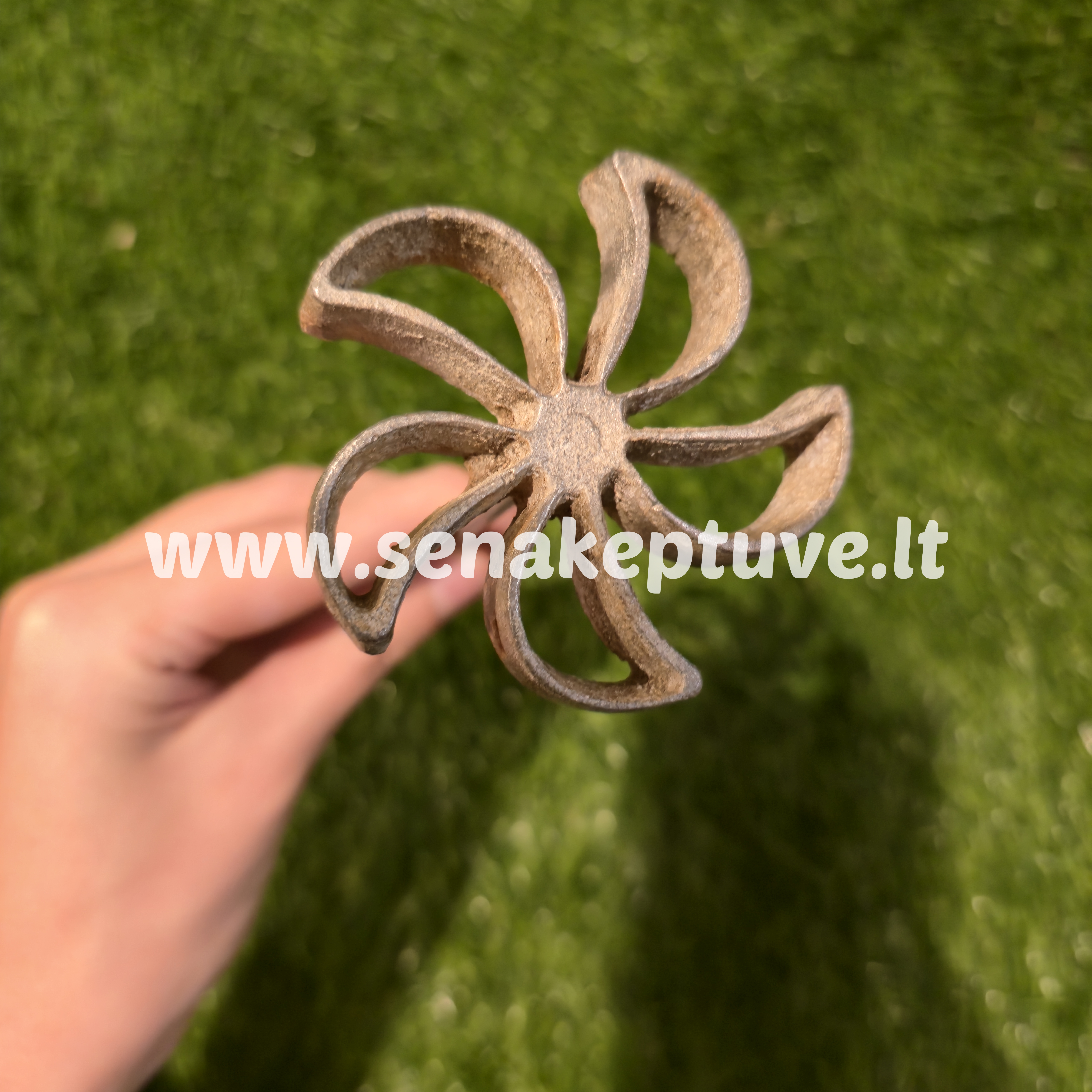 Senovinė žagarėlių formelė su koteliu