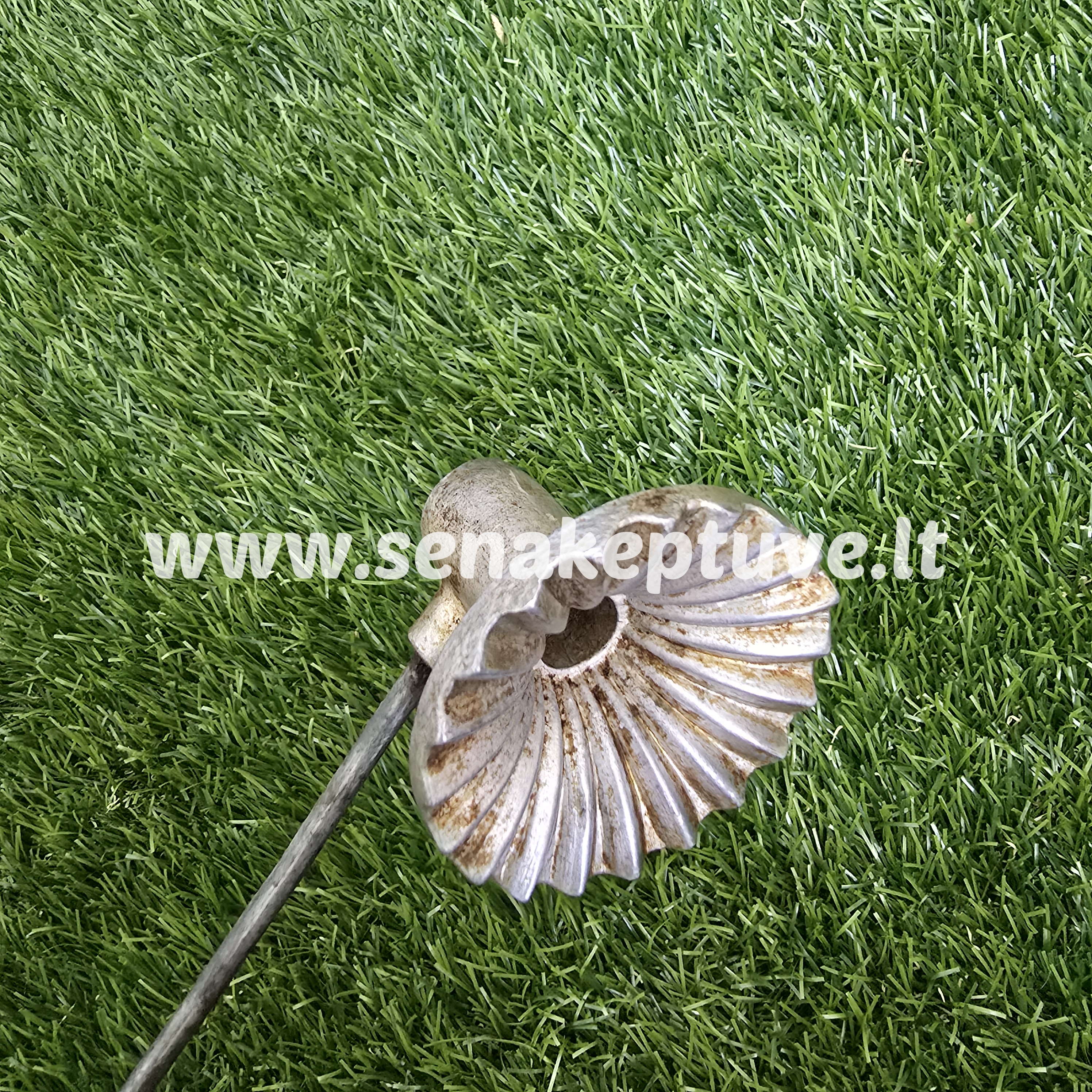 Senovinė žagarėlių formelė su koteliu