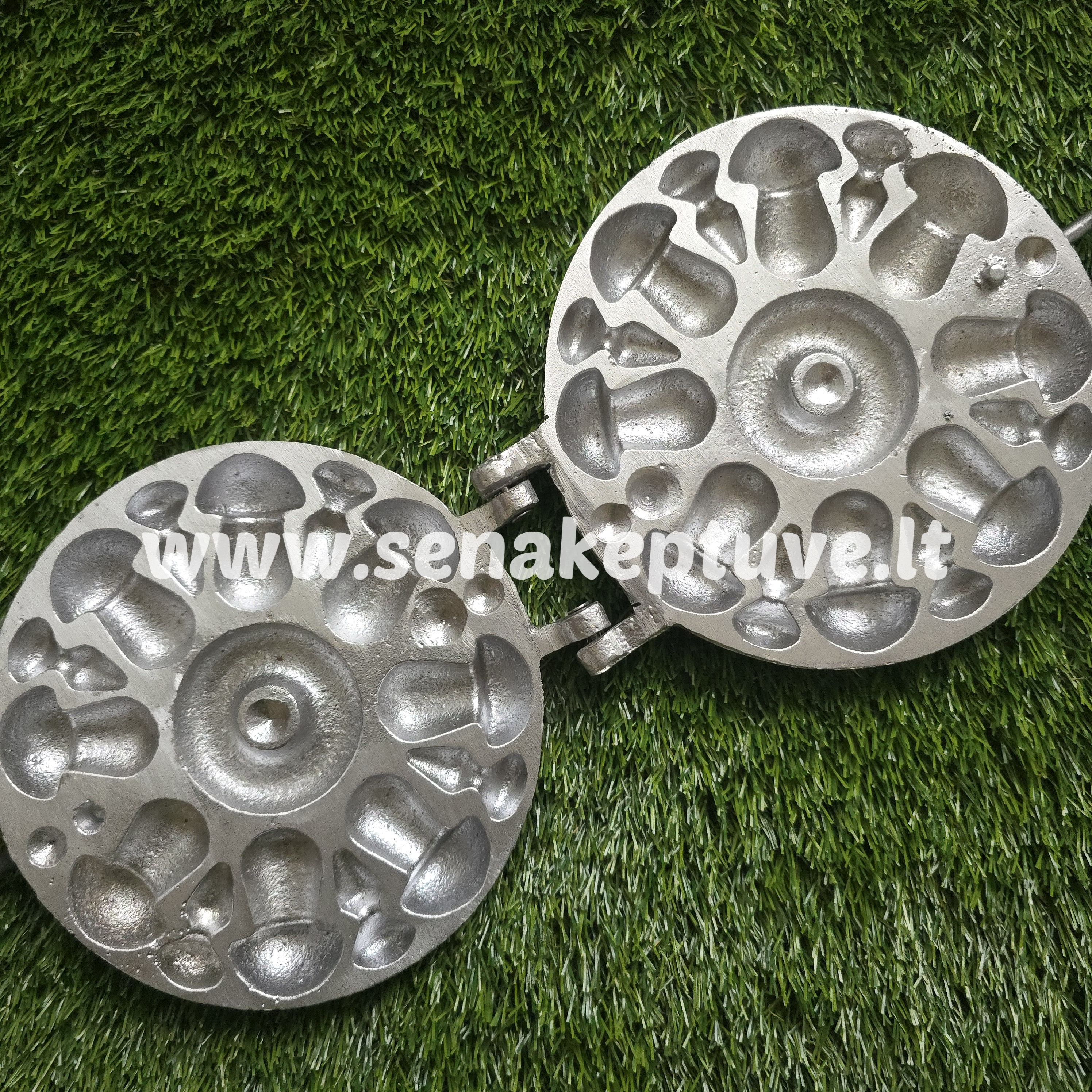 Šiuolaikinė grybukų keptuvė