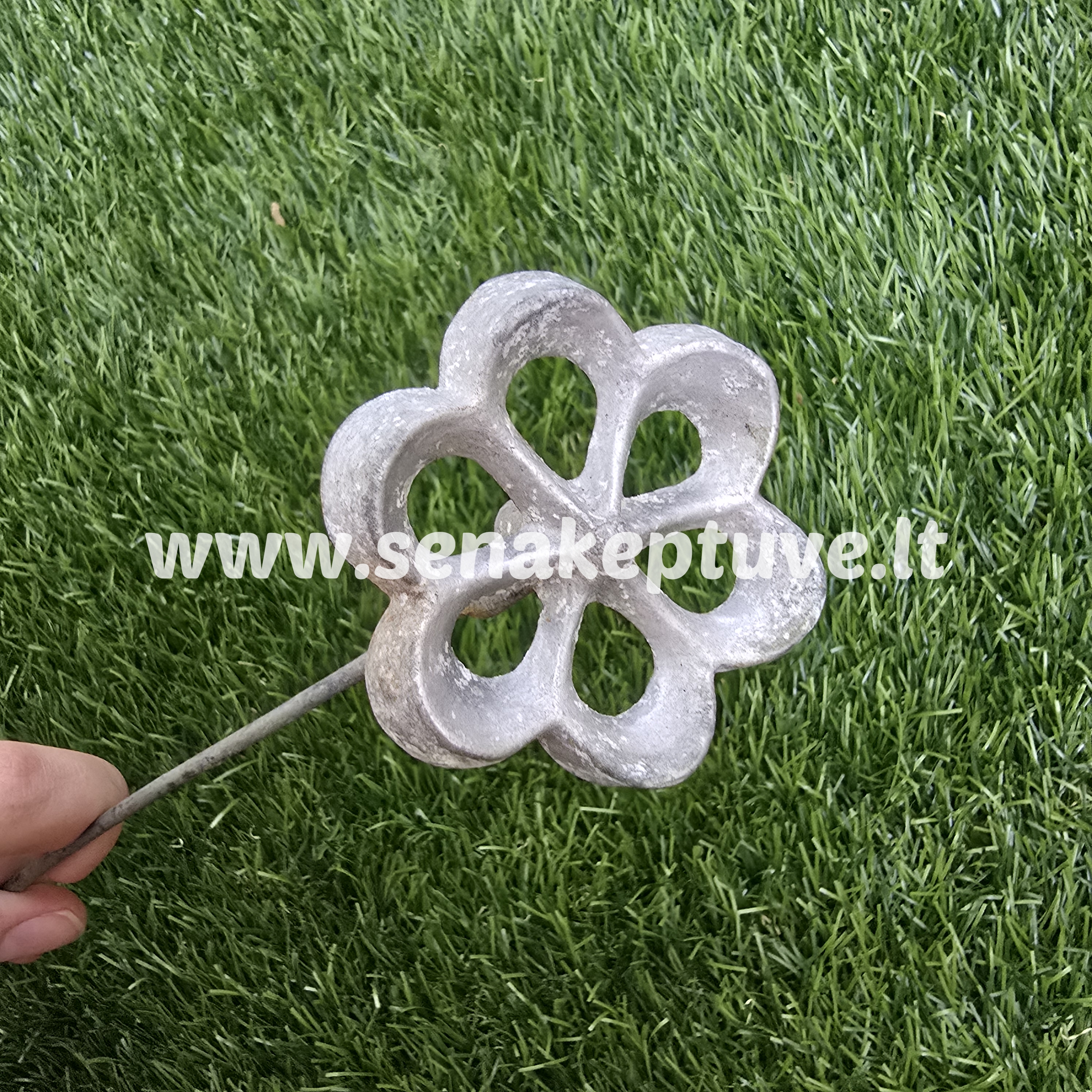 Senovinė žagarėlių formelė su koteliu