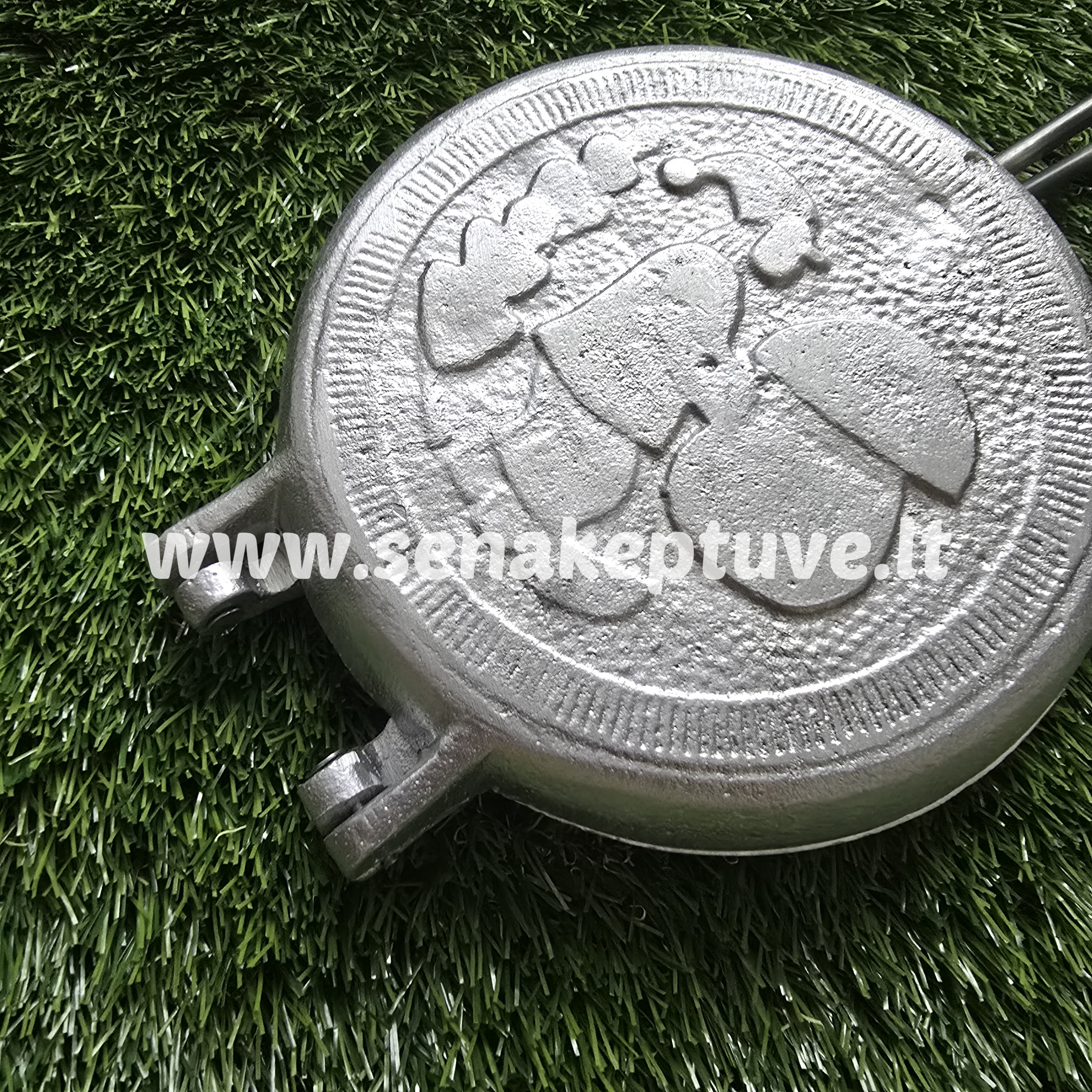 Šiuolaikinė grybukų keptuvė