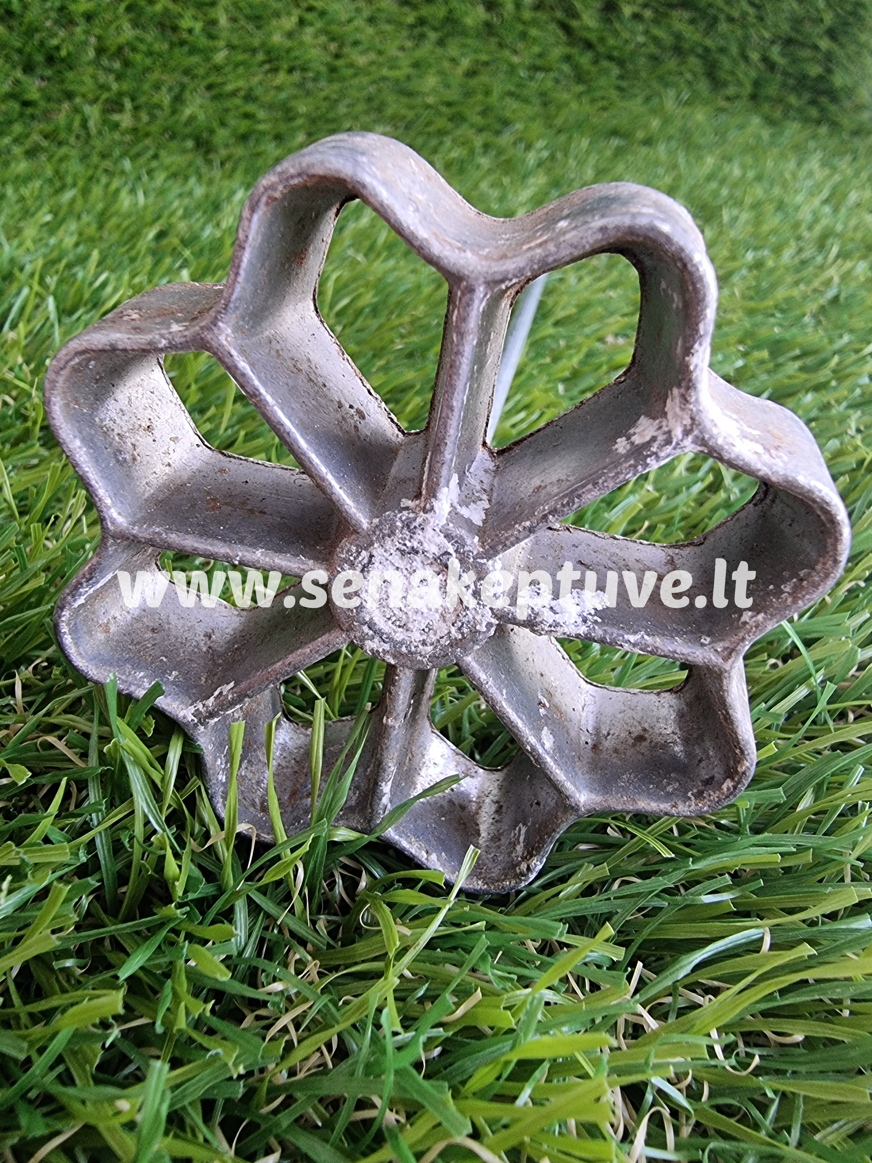 Senovinė žagarėlių formelė su koteliu