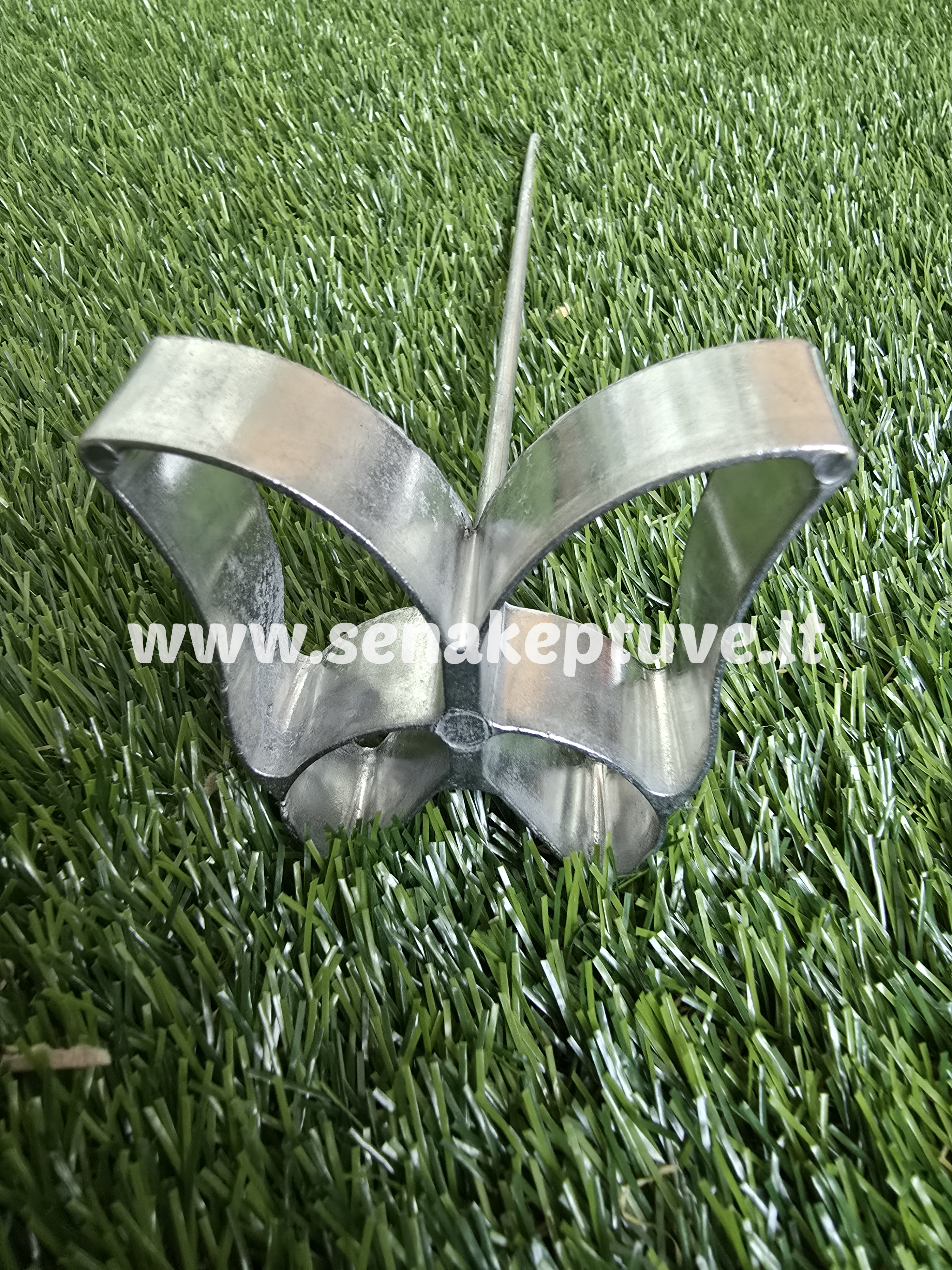 Šiuolaikinė žagarėlių formelė su koteliu