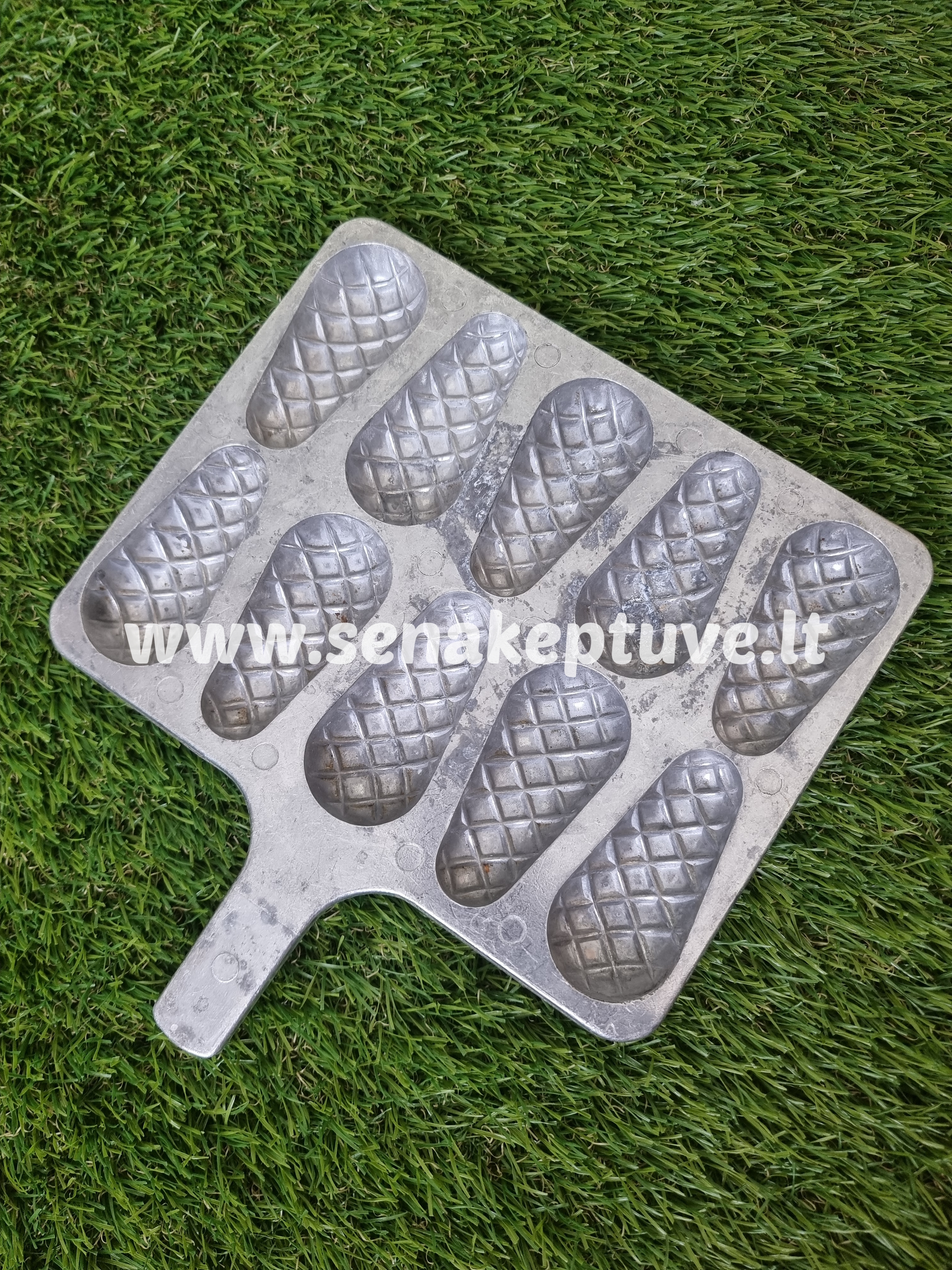 Senovinė kankorėžių forma