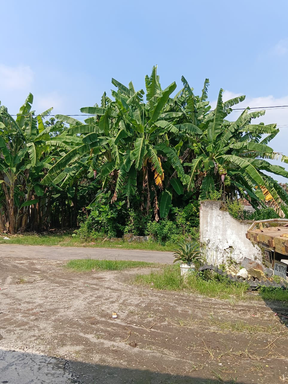 Pekarangan Ampel Kurung Dijual