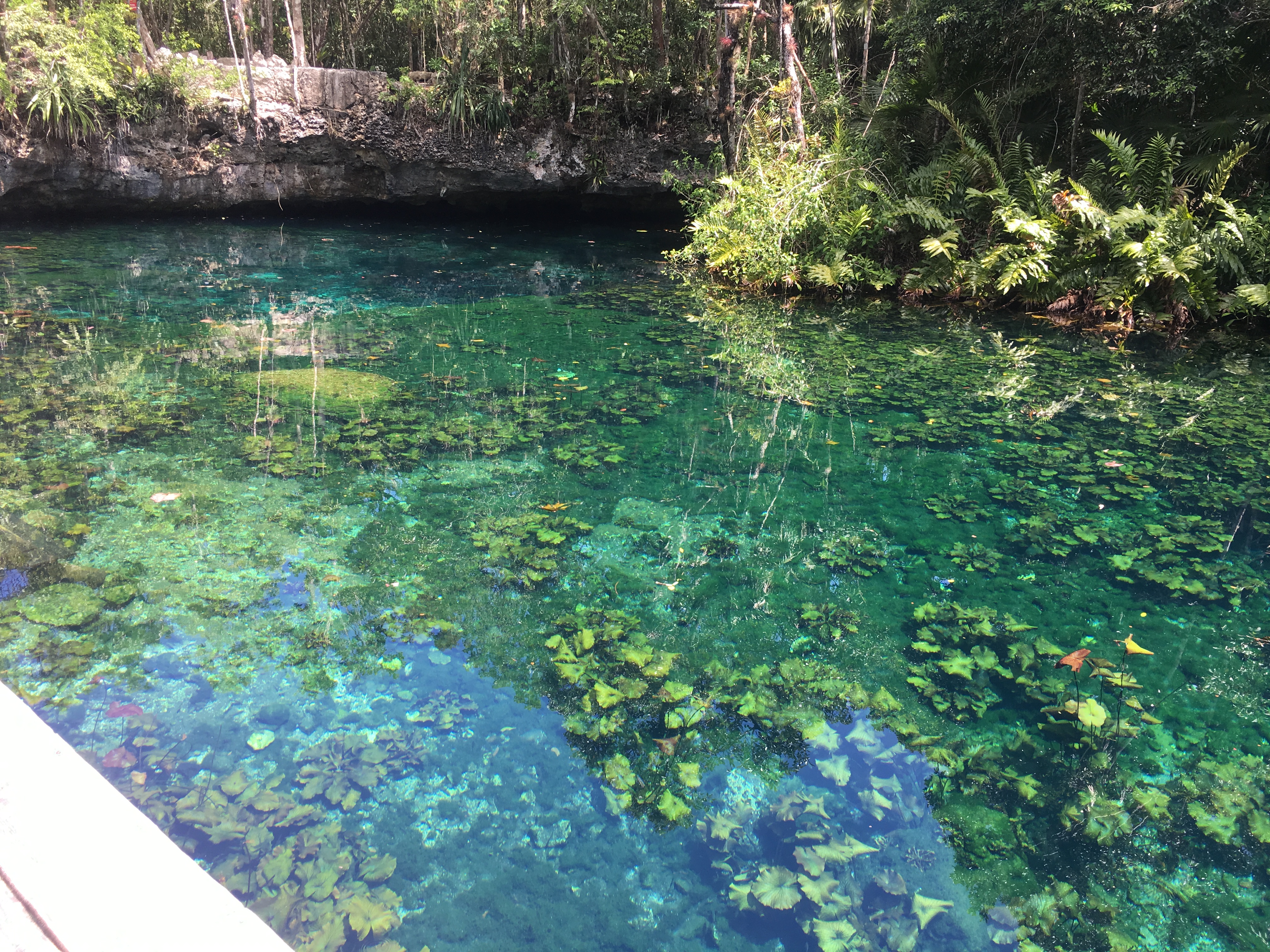 Atv adventure, Ziplines and cenote