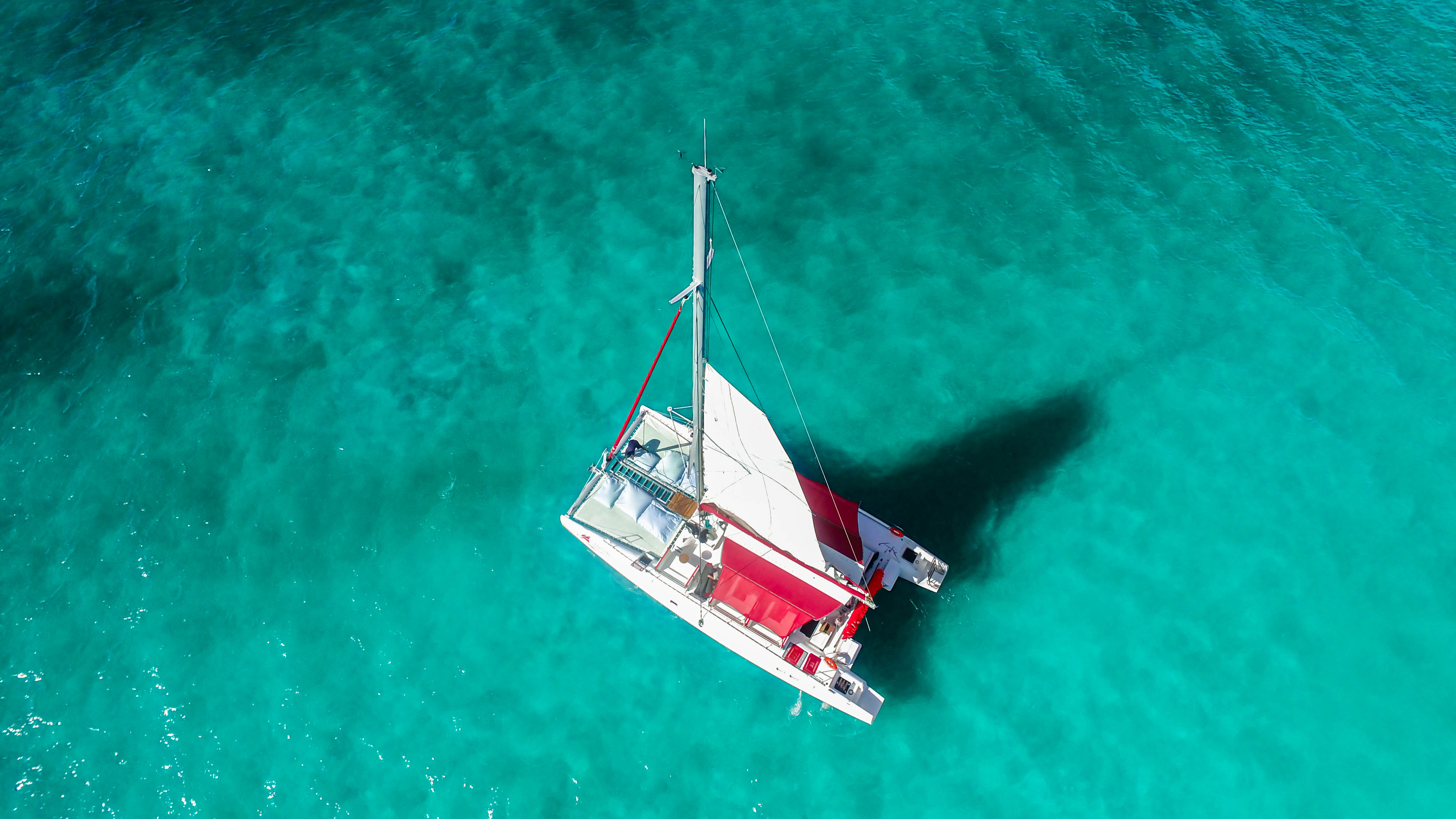 Caribbean Dreams