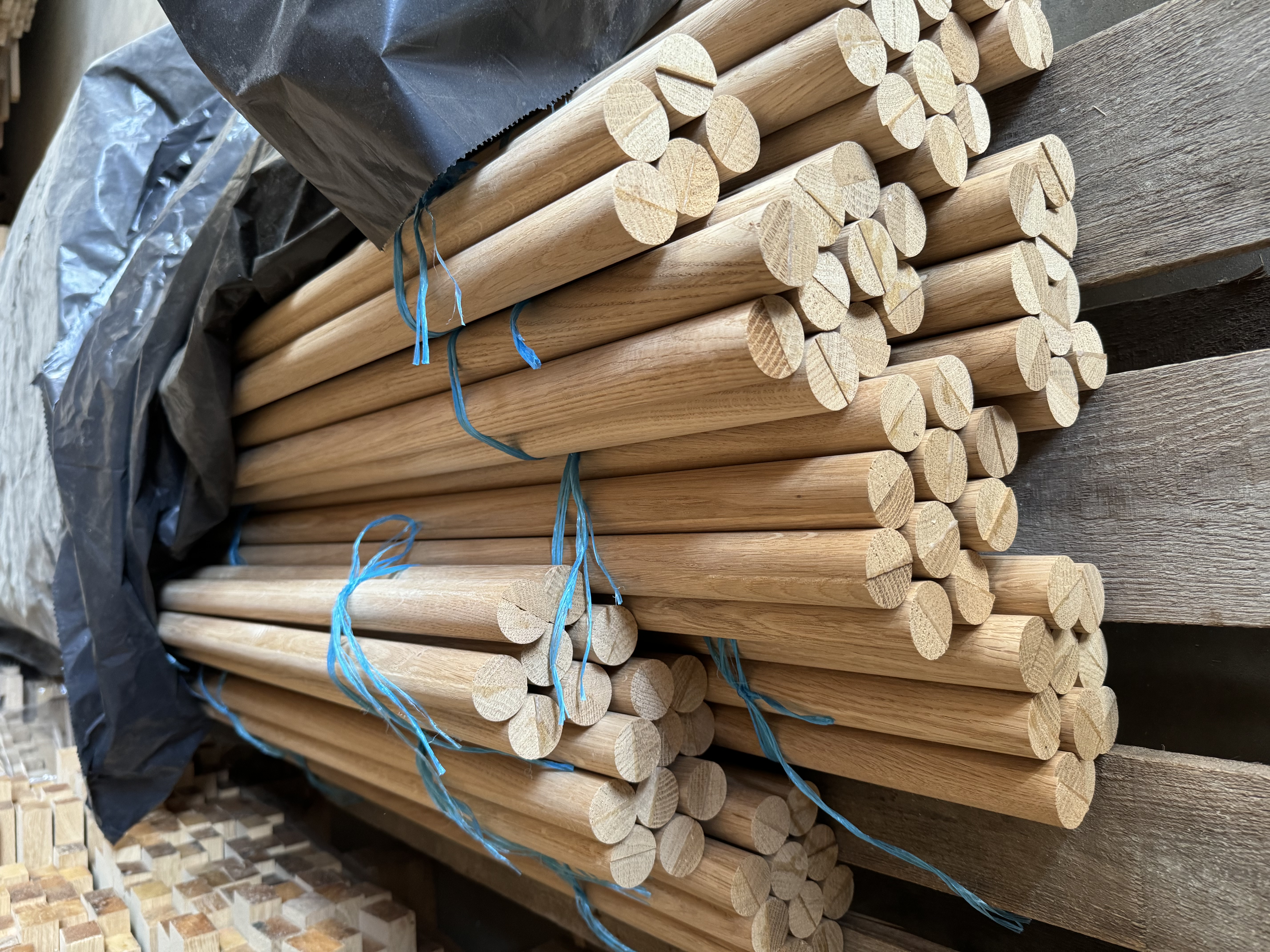 PORANKIAI, TAŠELIAI, APVALŪS RUOŠINIAI