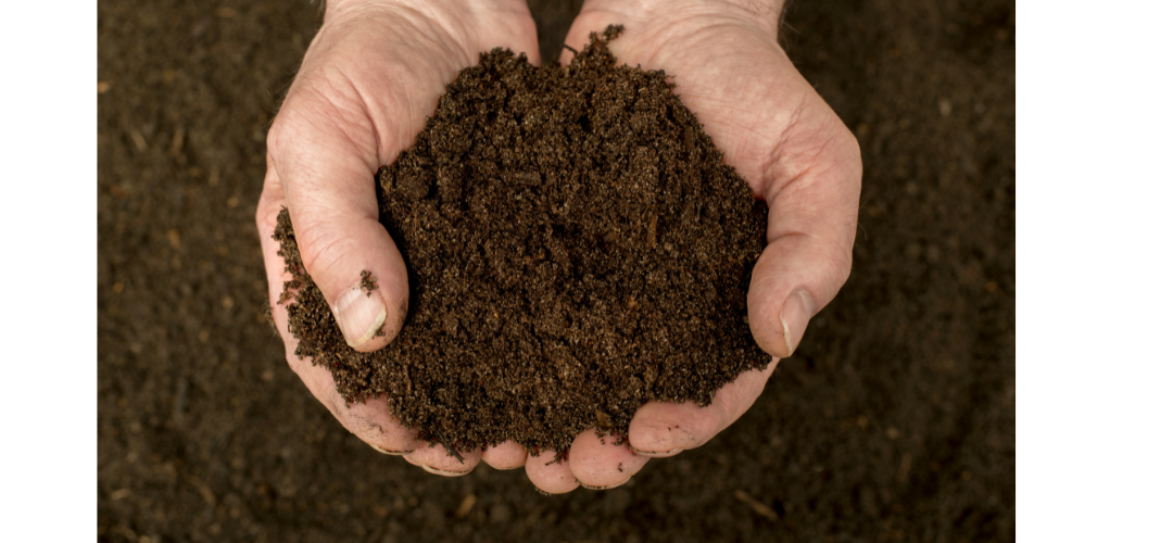 Worm Castings