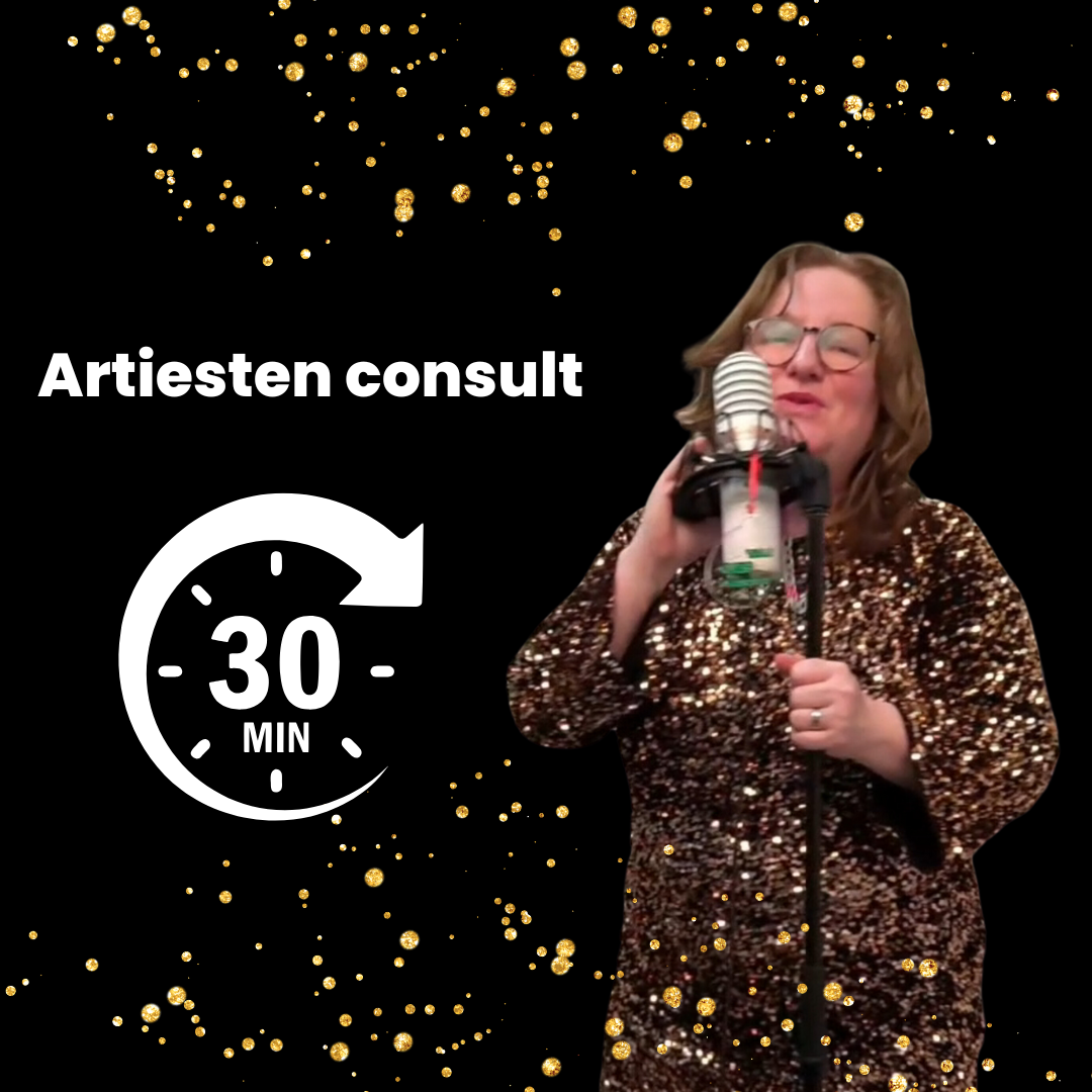 Artiesten consult (Online) 30 min