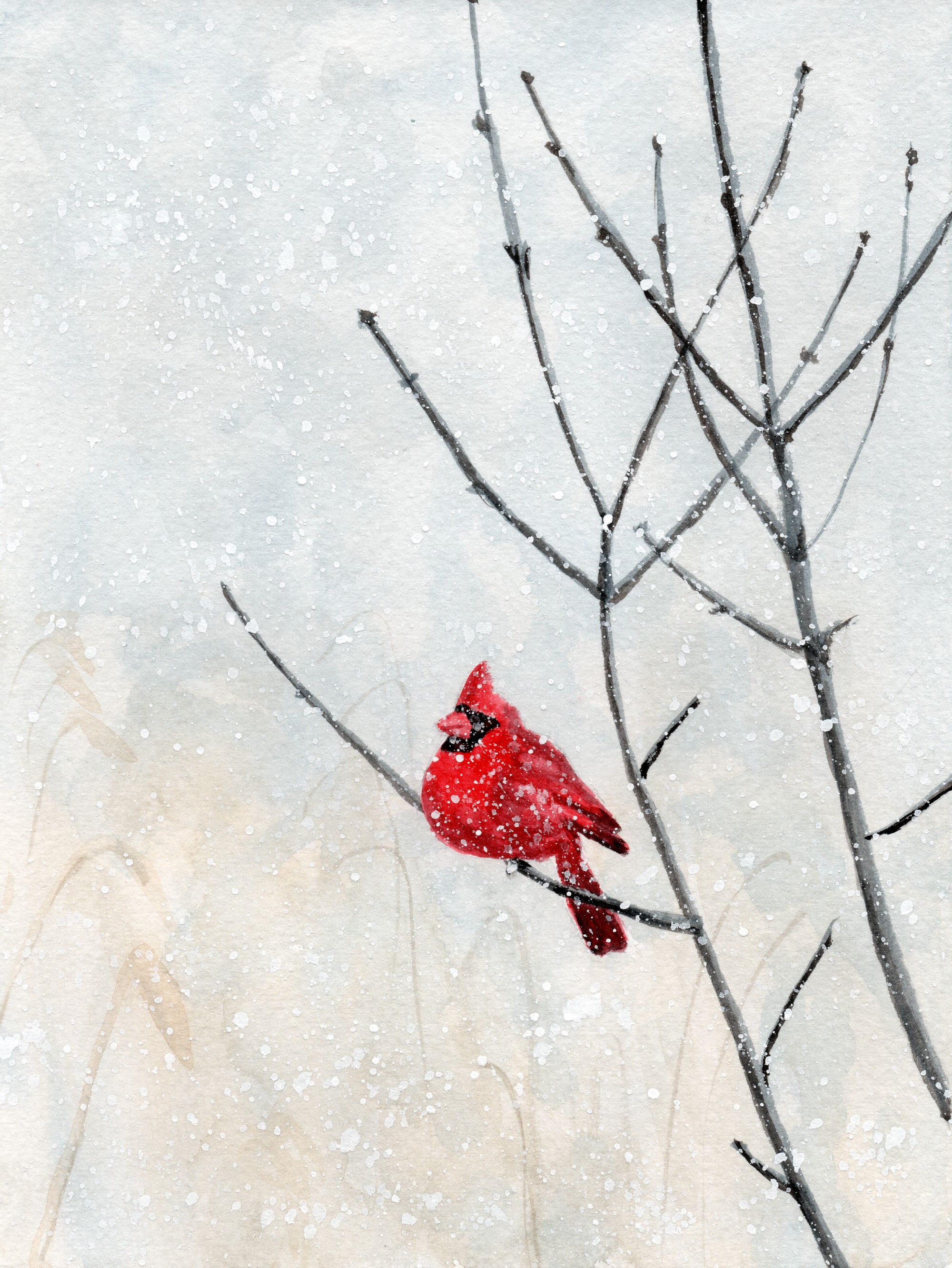 Cardinal Watercolor Print: Winter Bird Art