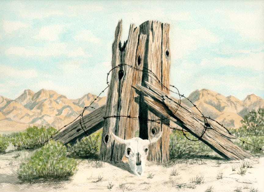 Desert Fence Art Print