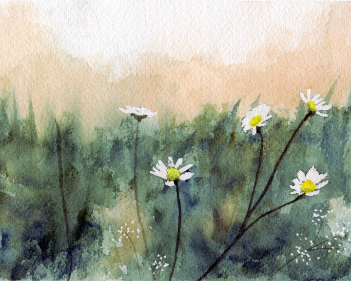 Watercolor Daisy Meadow Art Print