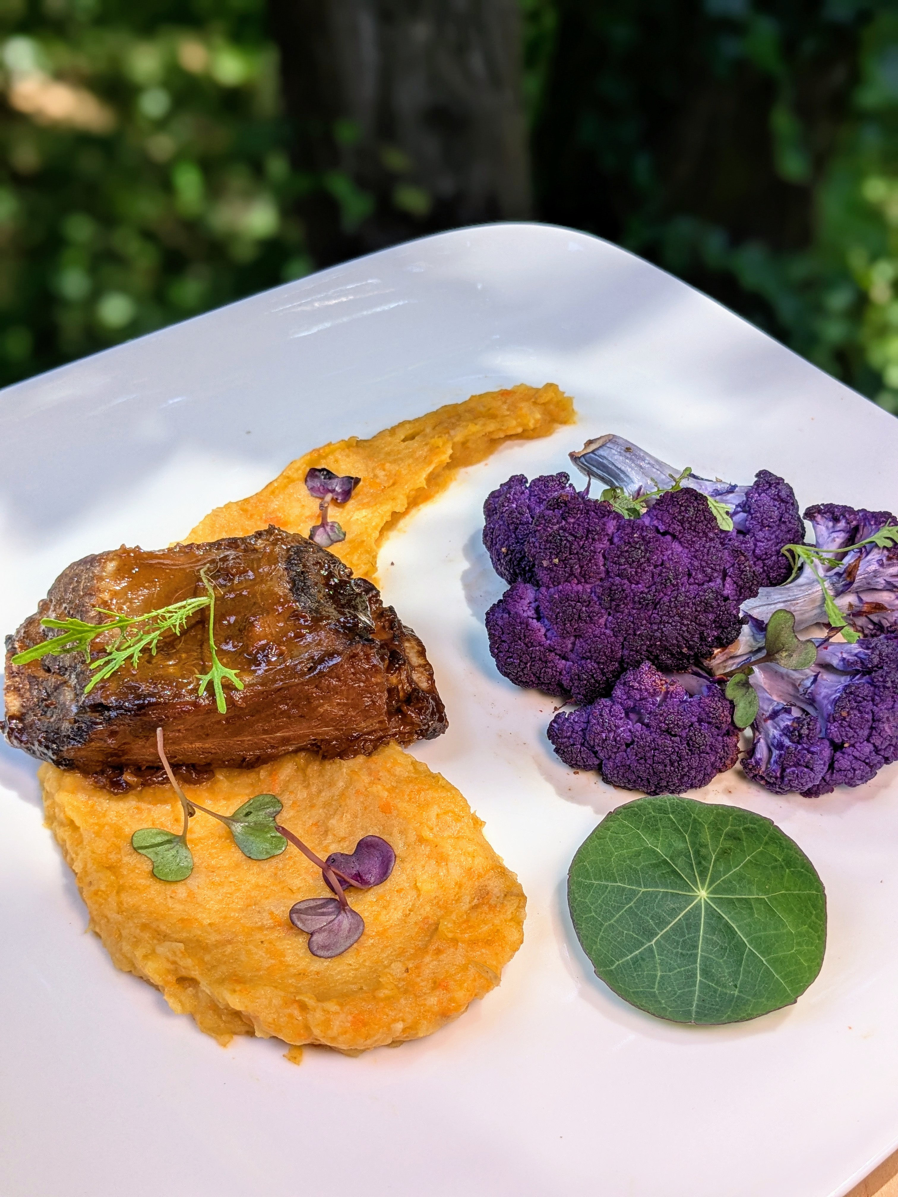 Calm, Clear, Nourished: An Autumn Qigong & Farm-to-Table Journey
